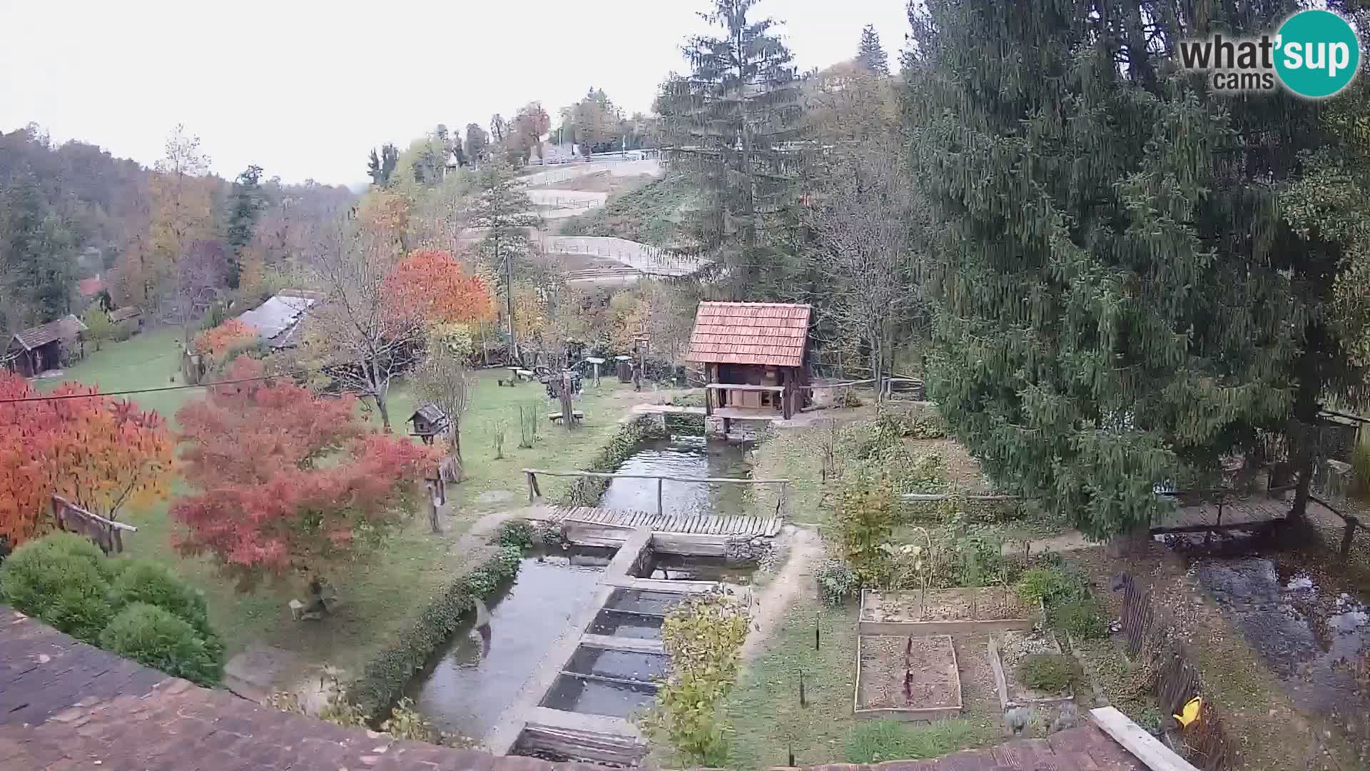 Spletna kamera v živo Rastoke – reka Slunjčica – Hrvaška
