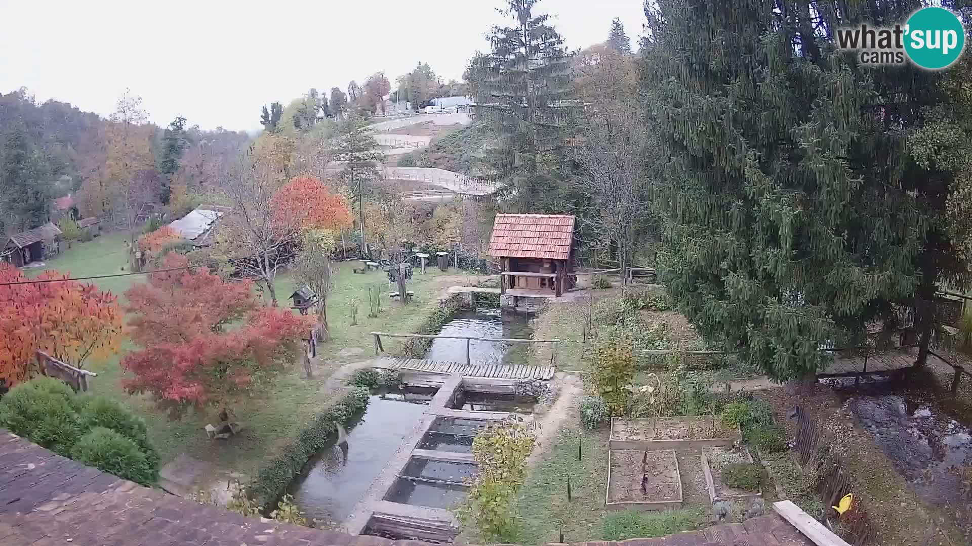 Cámara web en vivo Rastoke – río Slunjčica – Croacia
