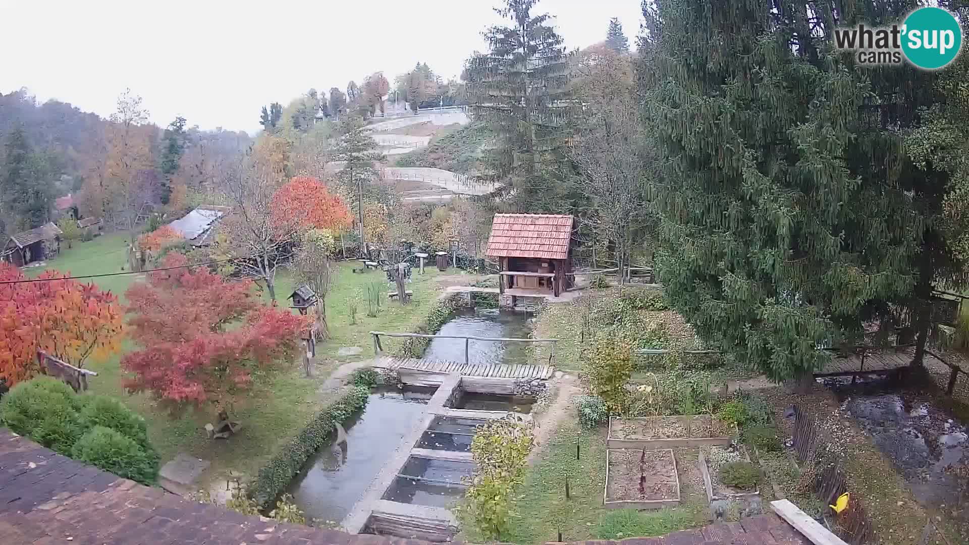 Live webcam Rastoke – fiume Slunjčica – Croazia