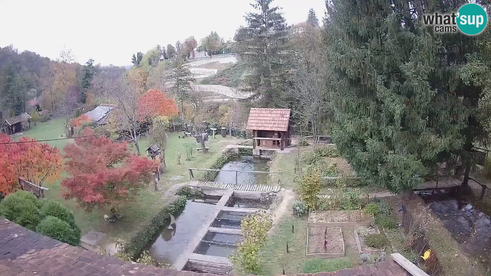 Live webcam Rastoke – river Slunjčica – Croatia