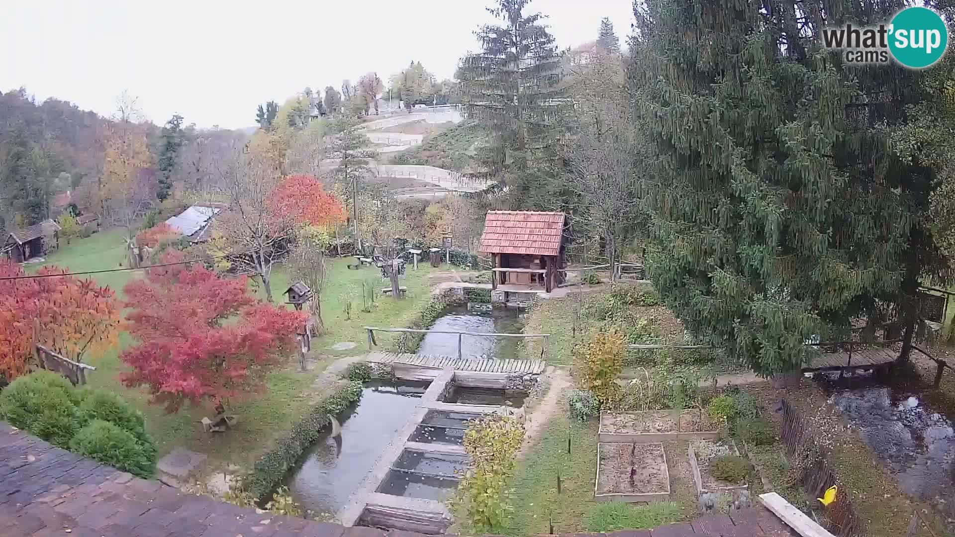 Live webcam Rastoke – fiume Slunjčica – Croazia