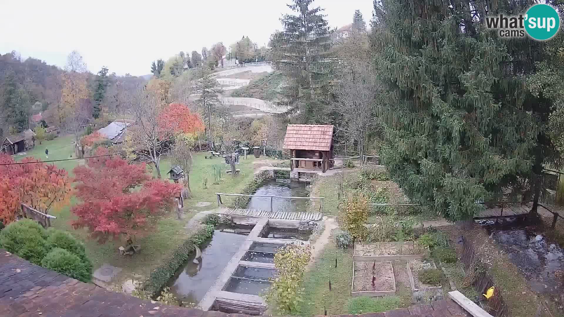 Spletna kamera v živo Rastoke – reka Slunjčica – Hrvaška