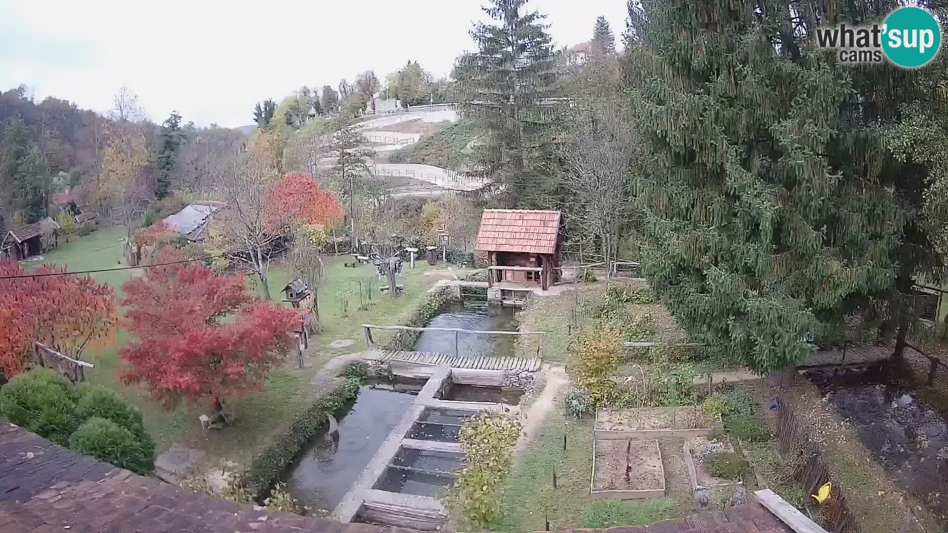 Live-Webcam Rastoke – Fluss Slunjčica – Kroatien