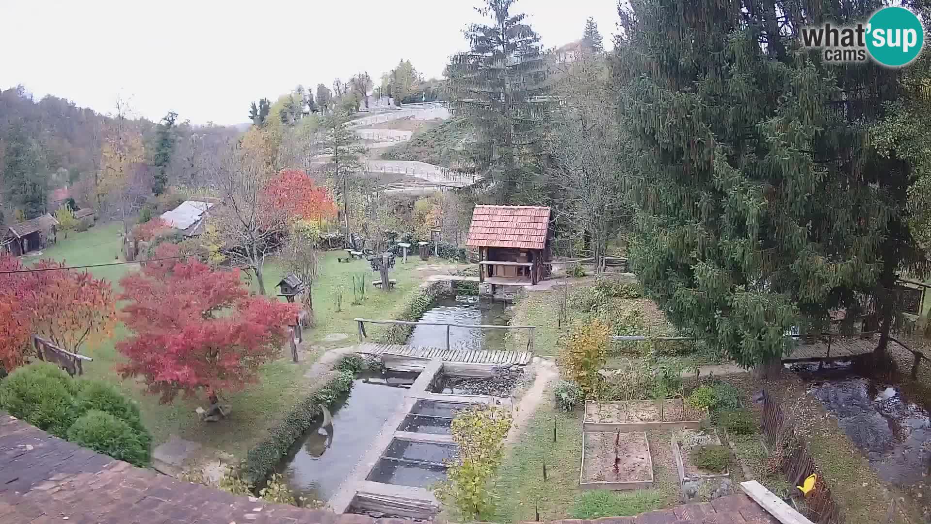 Live webcam Rastoke – fiume Slunjčica – Croazia