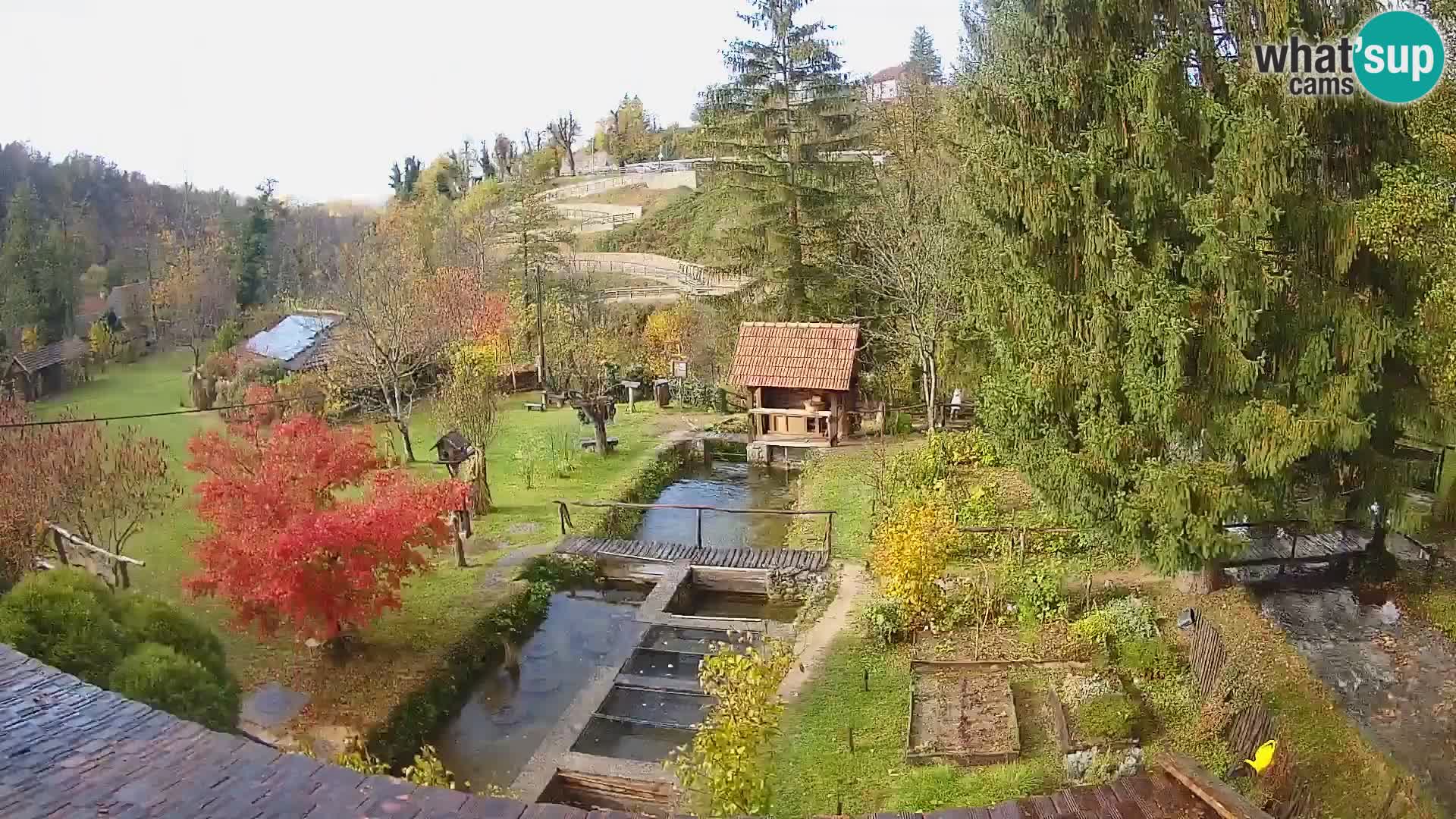 Webcam en direct Rastoke – rivière Slunjčica – Croatie