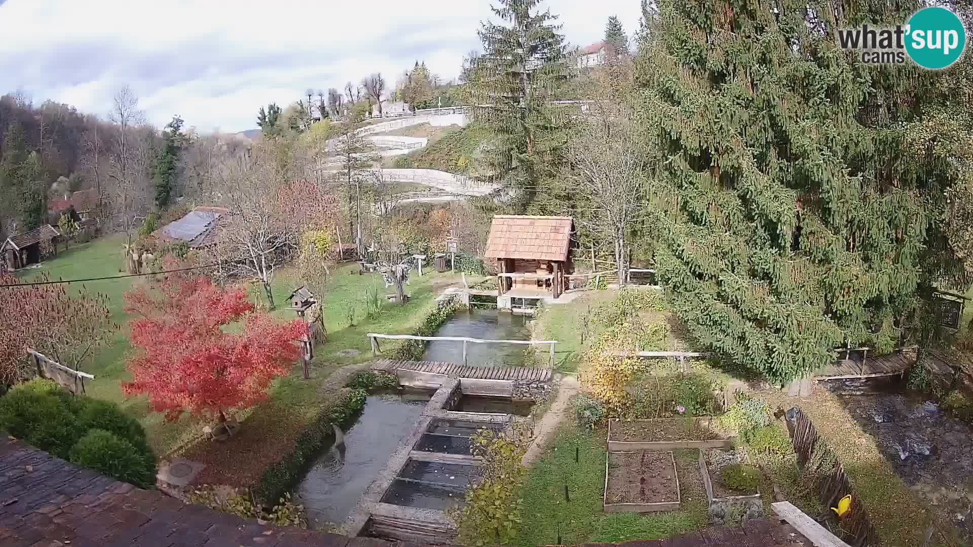 Cámara web en vivo Rastoke – río Slunjčica – Croacia