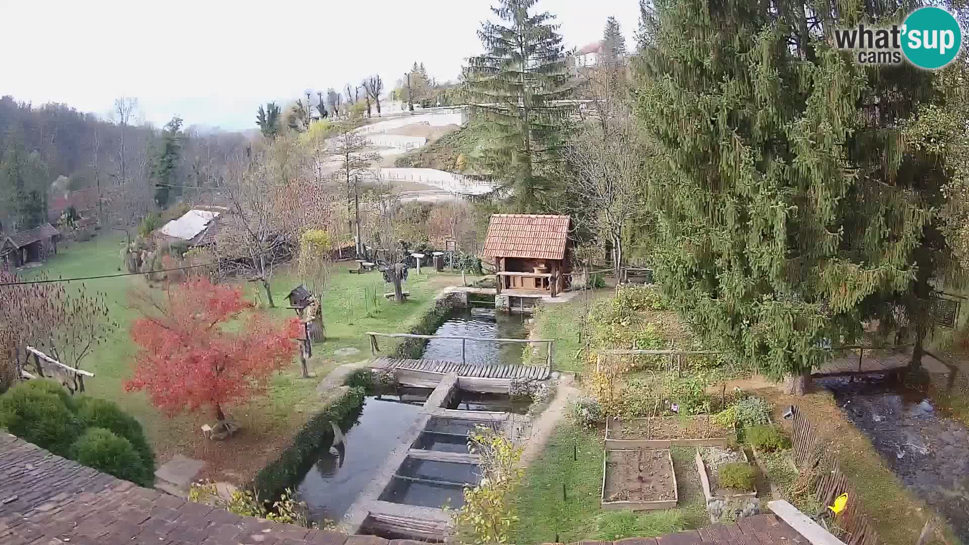Live-Webcam Rastoke – Fluss Slunjčica – Kroatien