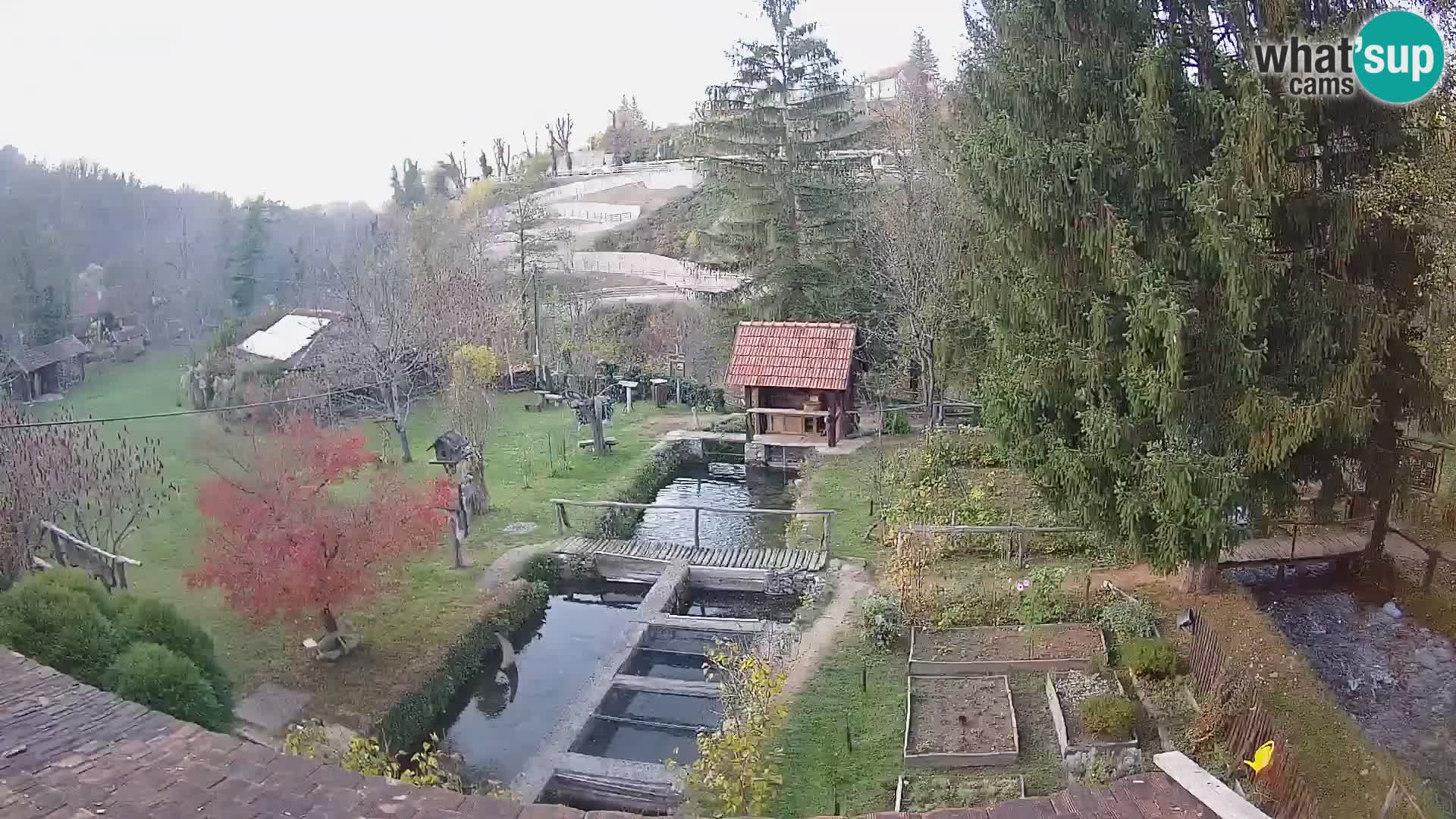 Live-Webcam Rastoke – Fluss Slunjčica – Kroatien