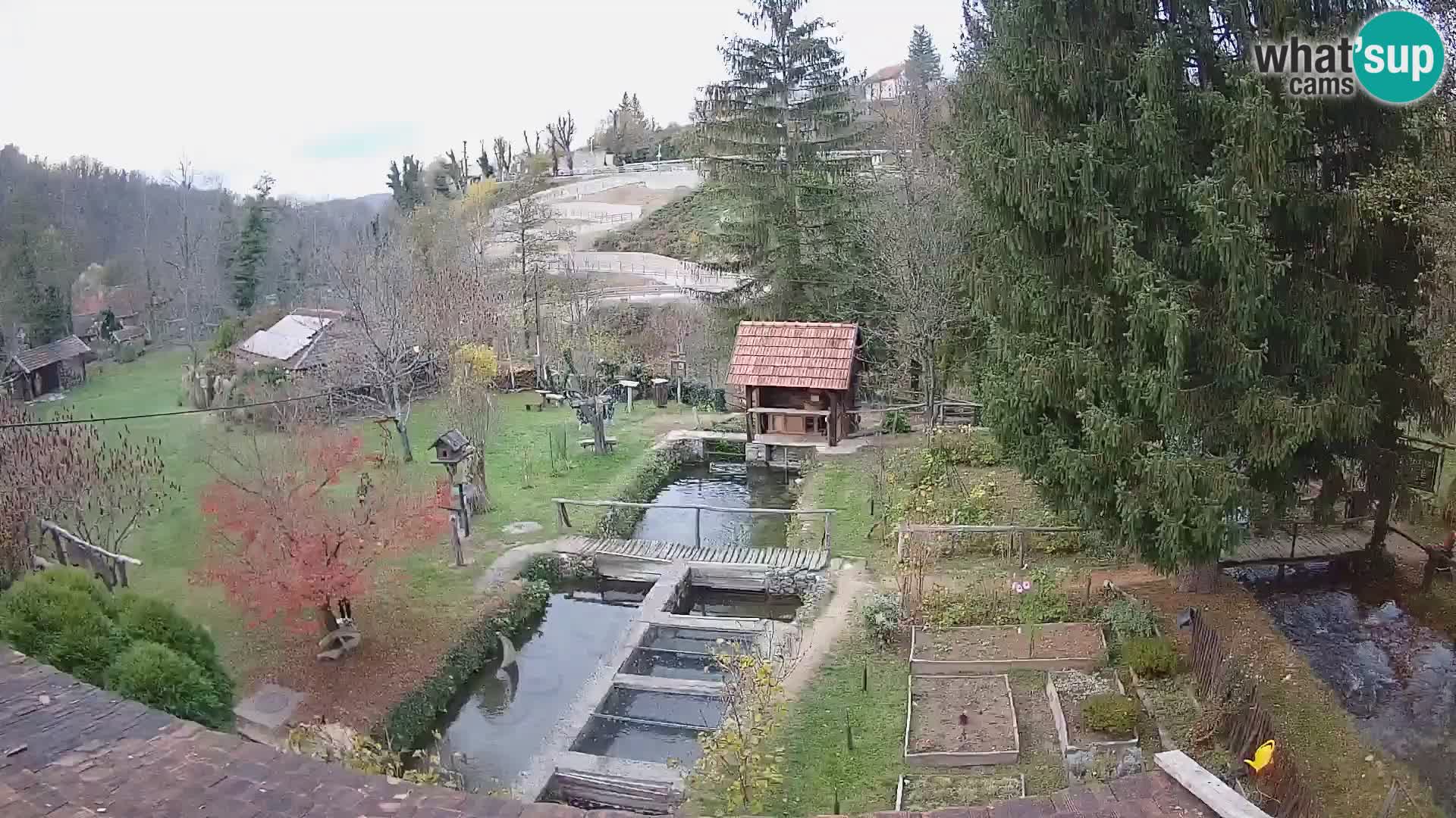 Live-Webcam Rastoke – Fluss Slunjčica – Kroatien