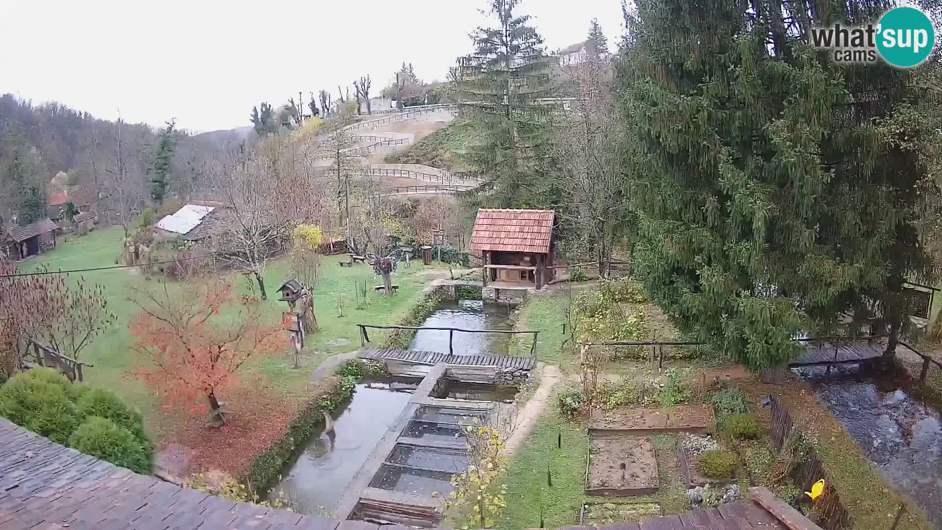 Live webcam Rastoke – river Slunjčica – Croatia