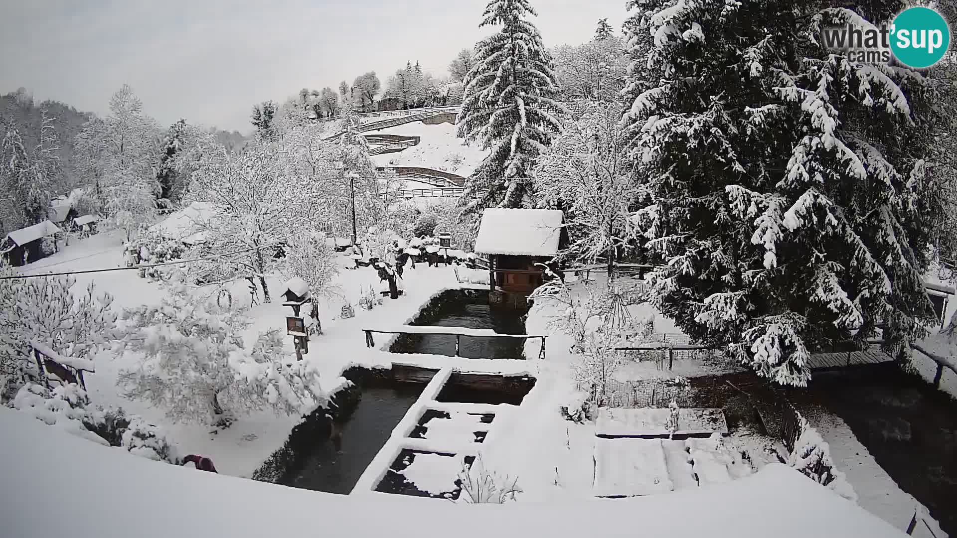 Spletna kamera v živo Rastoke – reka Slunjčica – Hrvaška