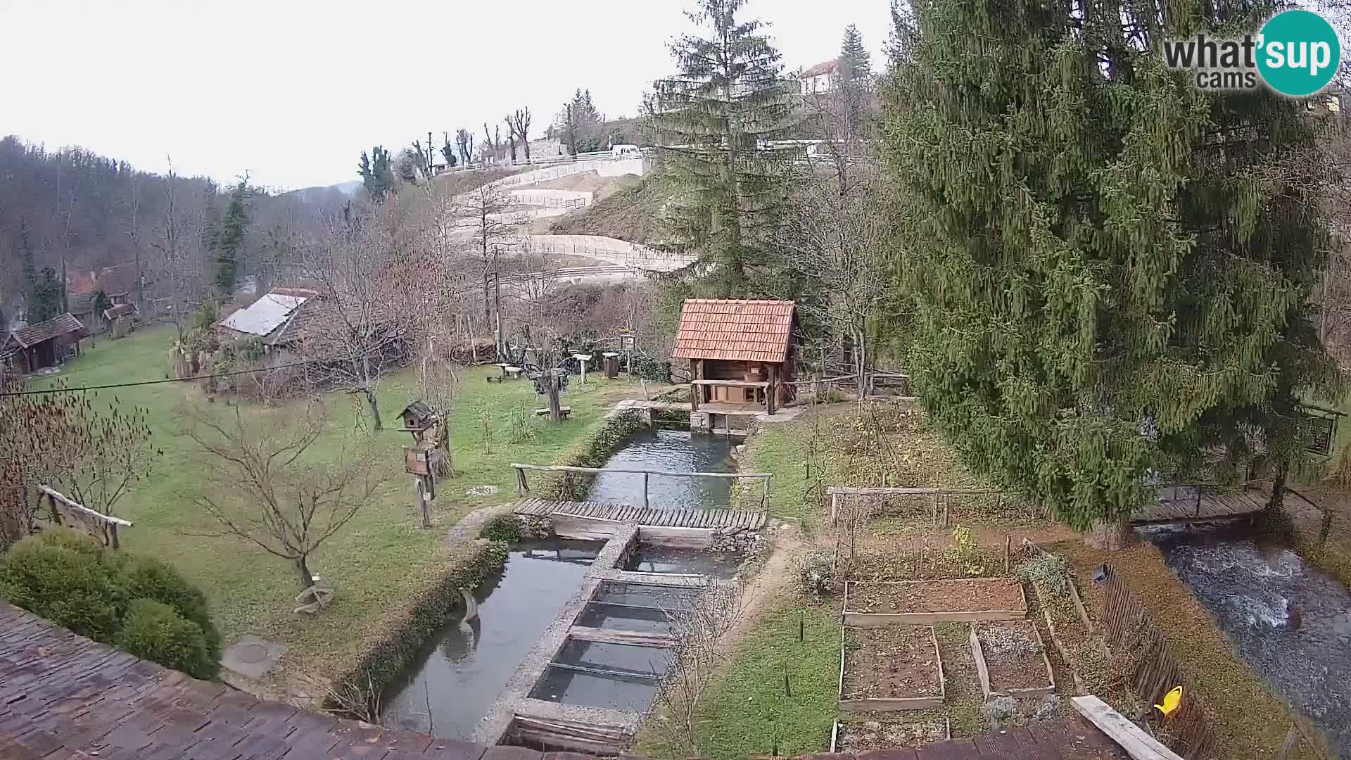 Live-Webcam Rastoke – Fluss Slunjčica – Kroatien