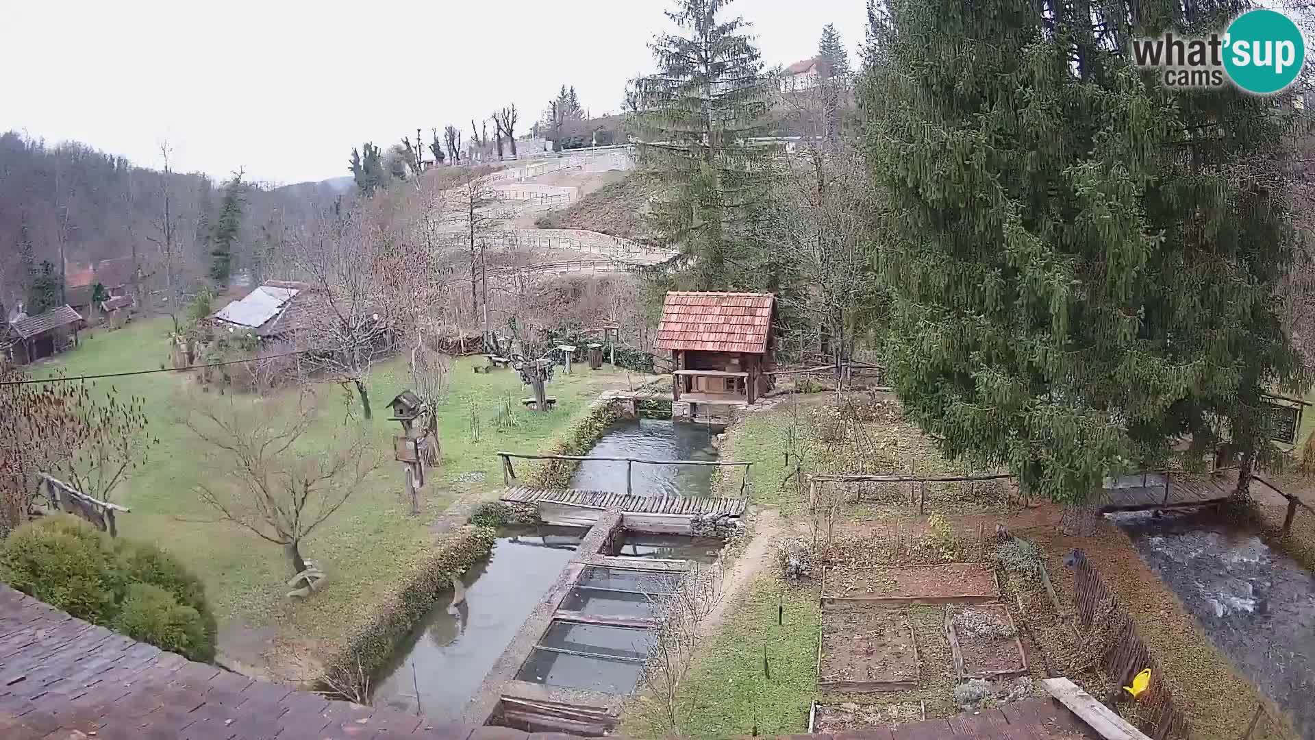 Spletna kamera v živo Rastoke – reka Slunjčica – Hrvaška