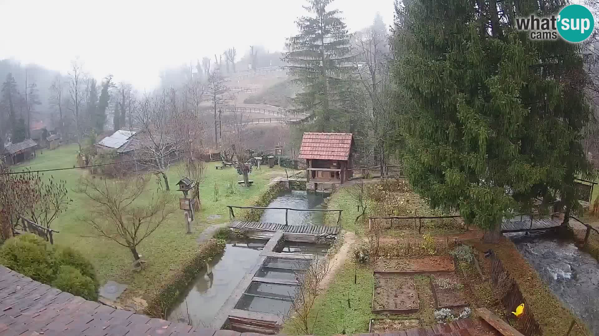 Live-Webcam Rastoke – Fluss Slunjčica – Kroatien