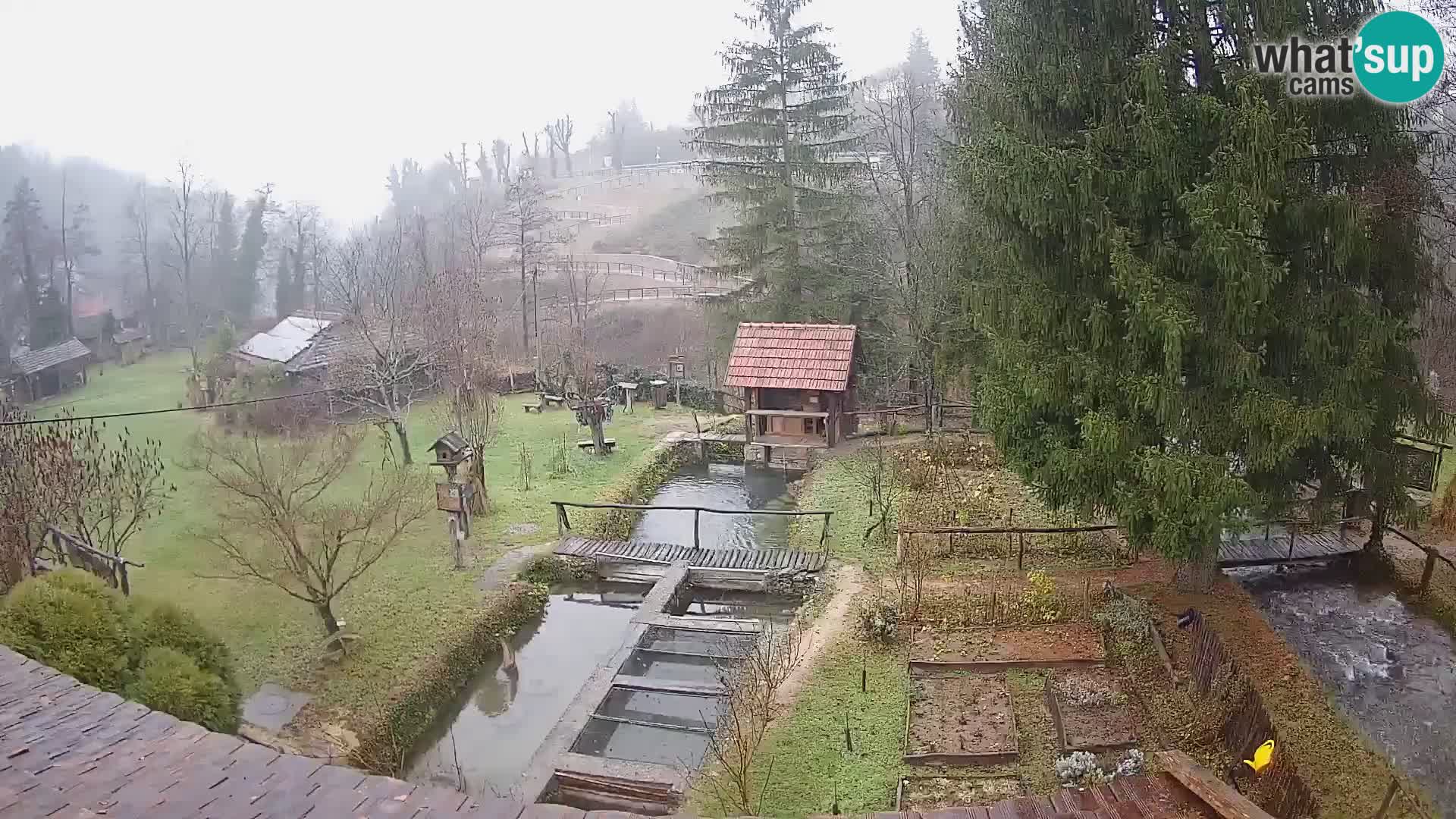 Live-Webcam Rastoke – Fluss Slunjčica – Kroatien