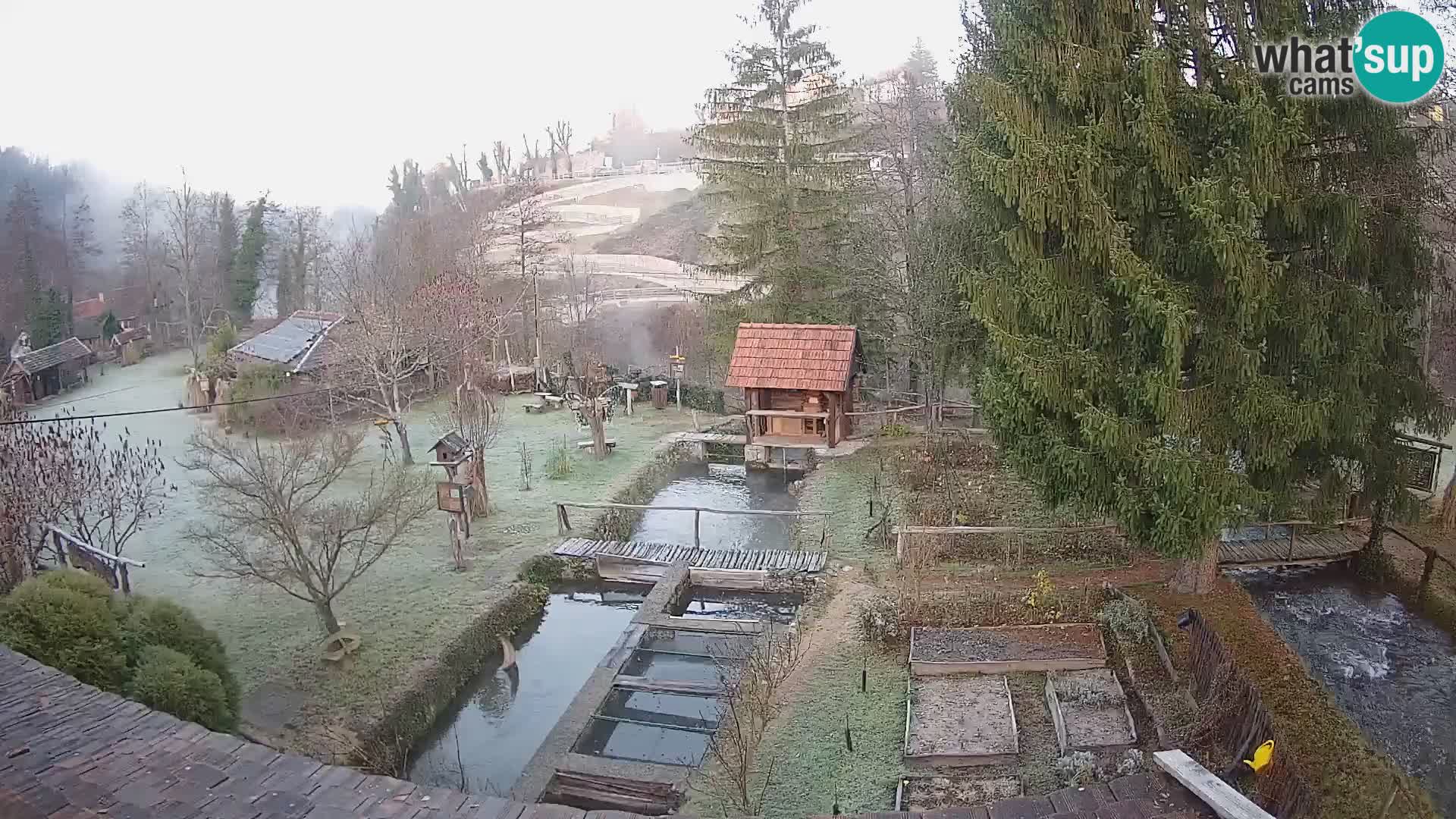 Spletna kamera v živo Rastoke – reka Slunjčica – Hrvaška