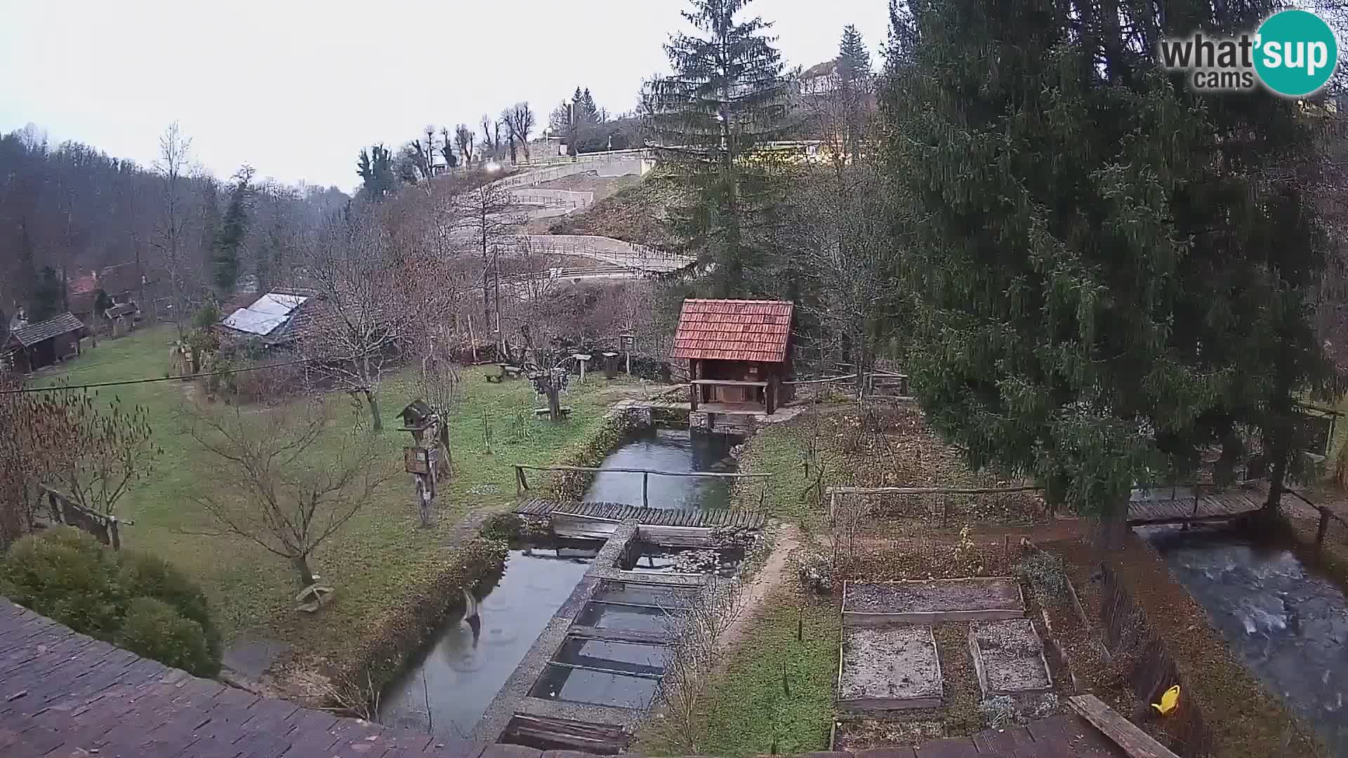 Live-Webcam Rastoke – Fluss Slunjčica – Kroatien