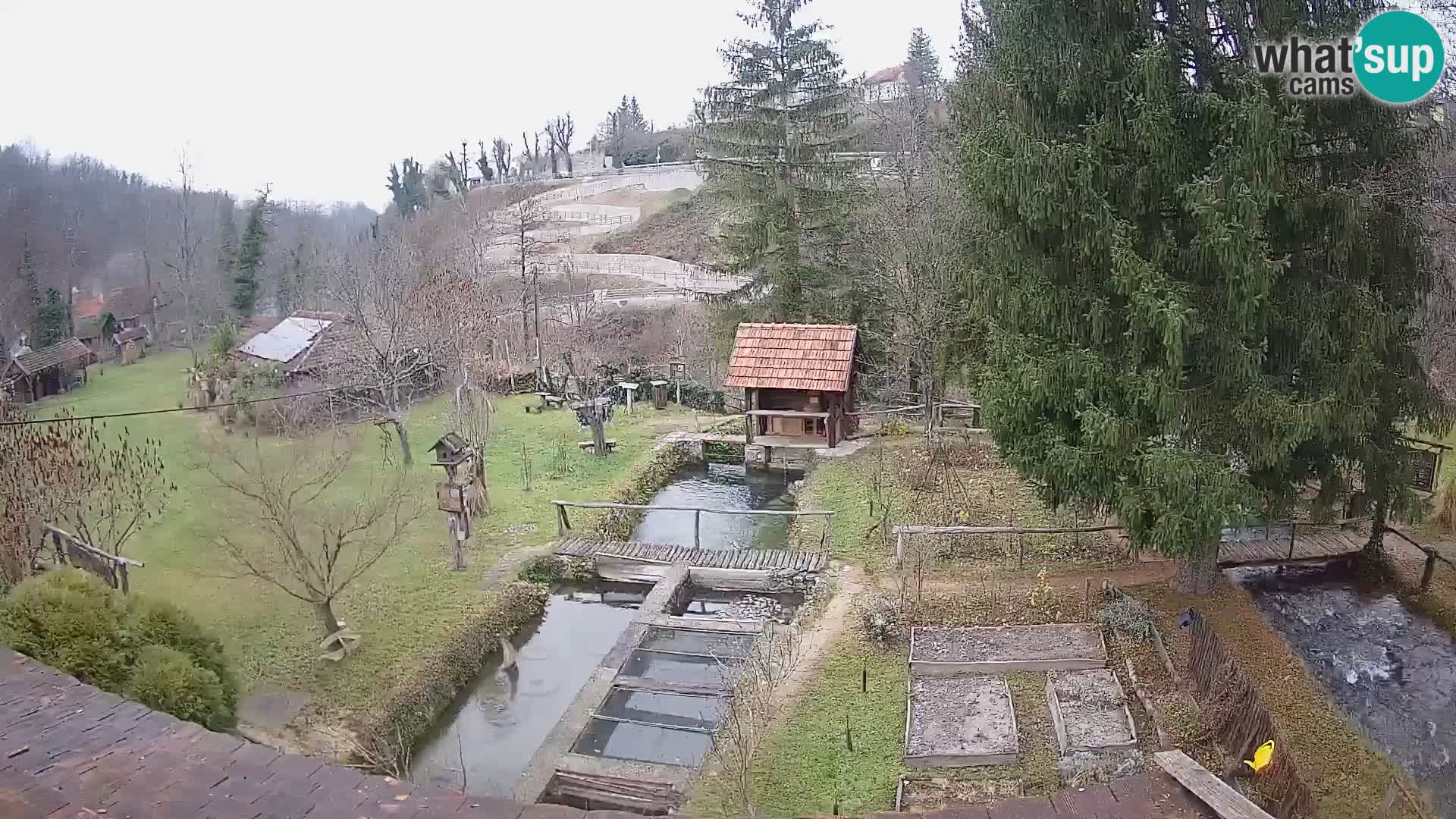 Spletna kamera v živo Rastoke – reka Slunjčica – Hrvaška