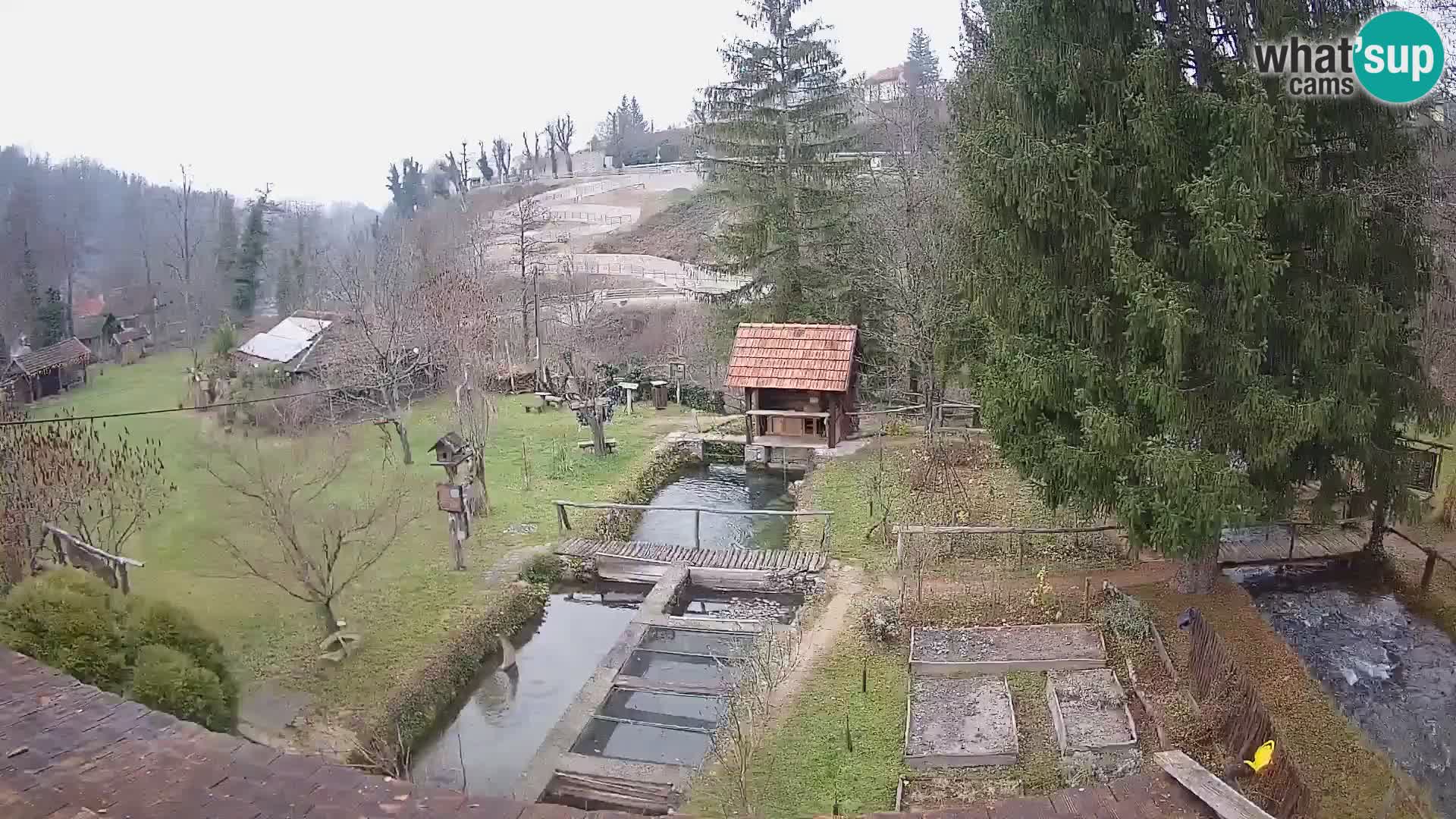 Live webcam Rastoke – fiume Slunjčica – Croazia