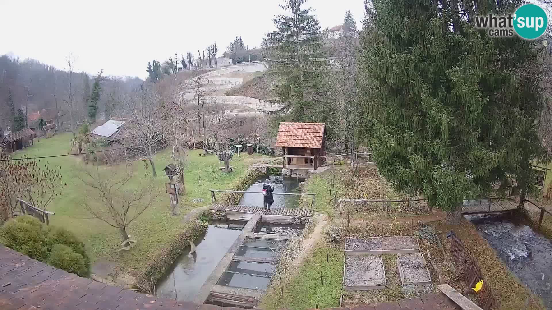 Spletna kamera v živo Rastoke – reka Slunjčica – Hrvaška