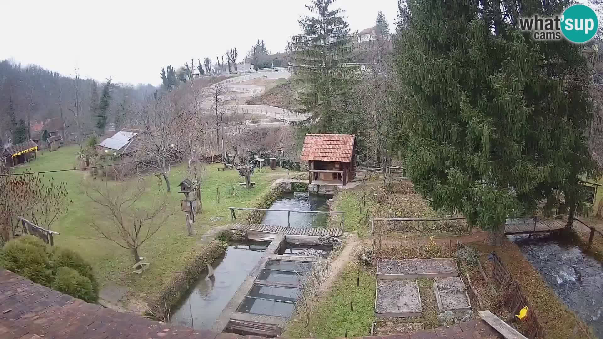 Live-Webcam Rastoke – Fluss Slunjčica – Kroatien