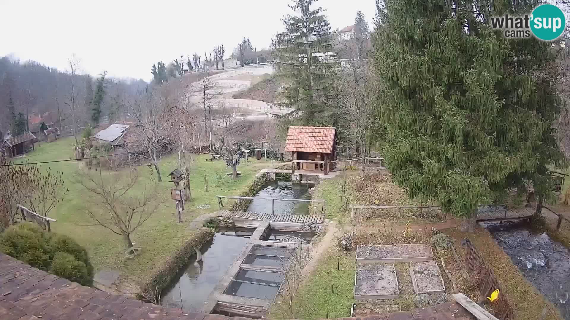 Spletna kamera v živo Rastoke – reka Slunjčica – Hrvaška