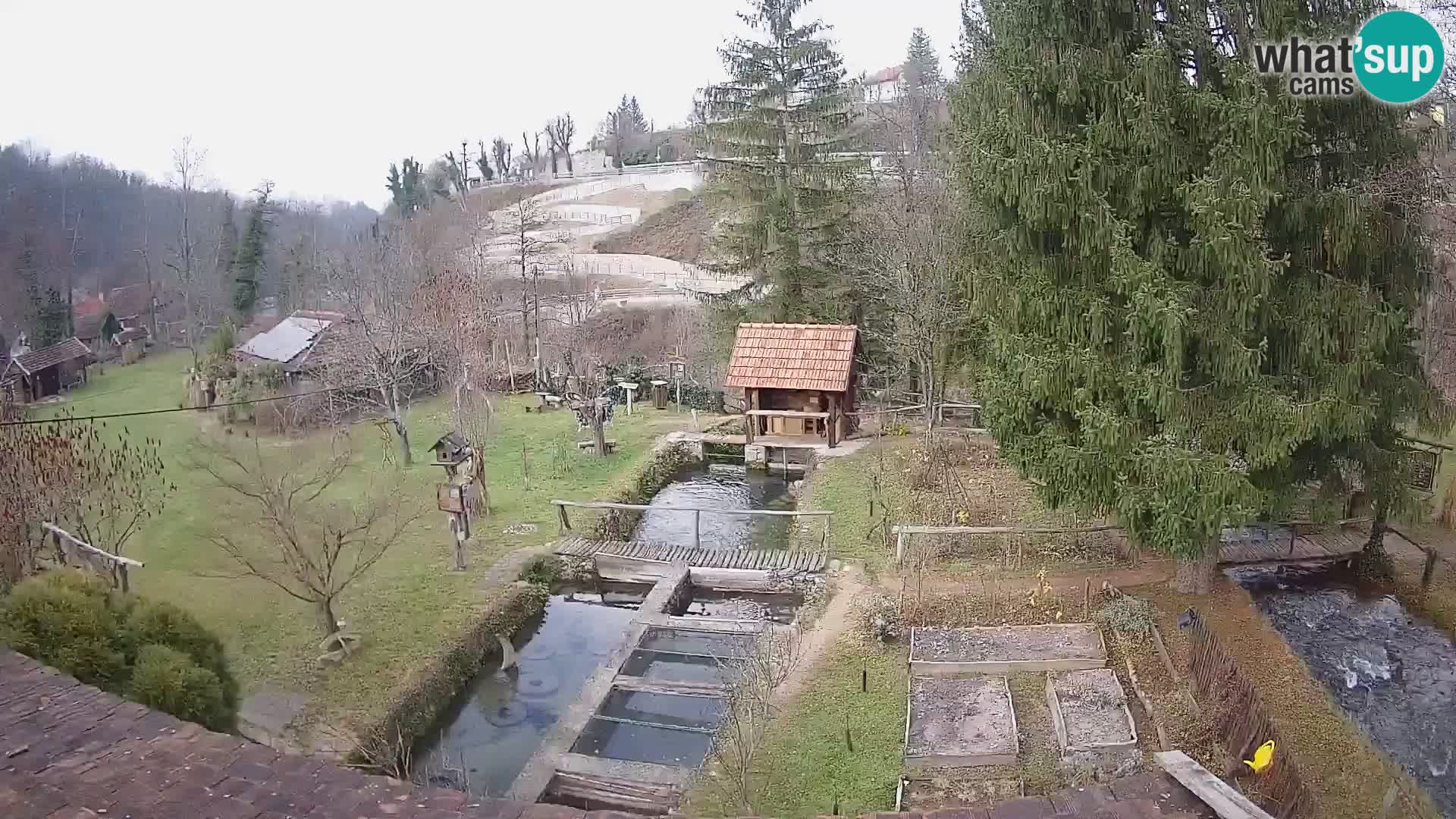 Spletna kamera v živo Rastoke – reka Slunjčica – Hrvaška