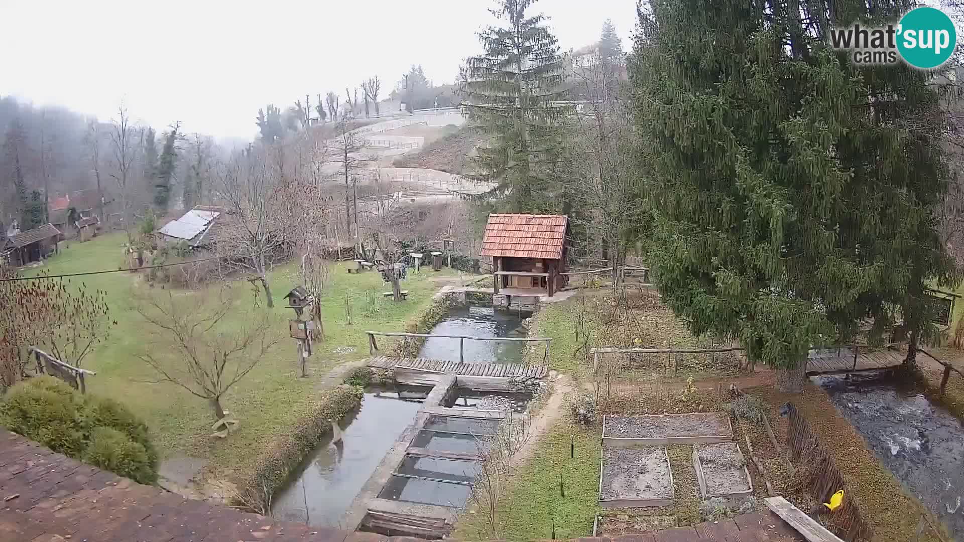 Live-Webcam Rastoke – Fluss Slunjčica – Kroatien