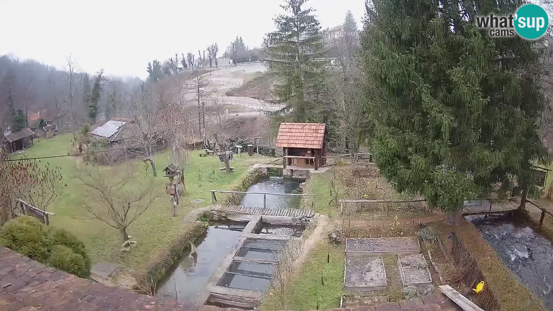 Live-Webcam Rastoke – Fluss Slunjčica – Kroatien