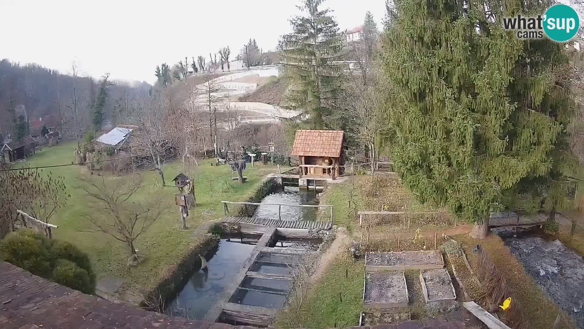 Spletna kamera v živo Rastoke – reka Slunjčica – Hrvaška