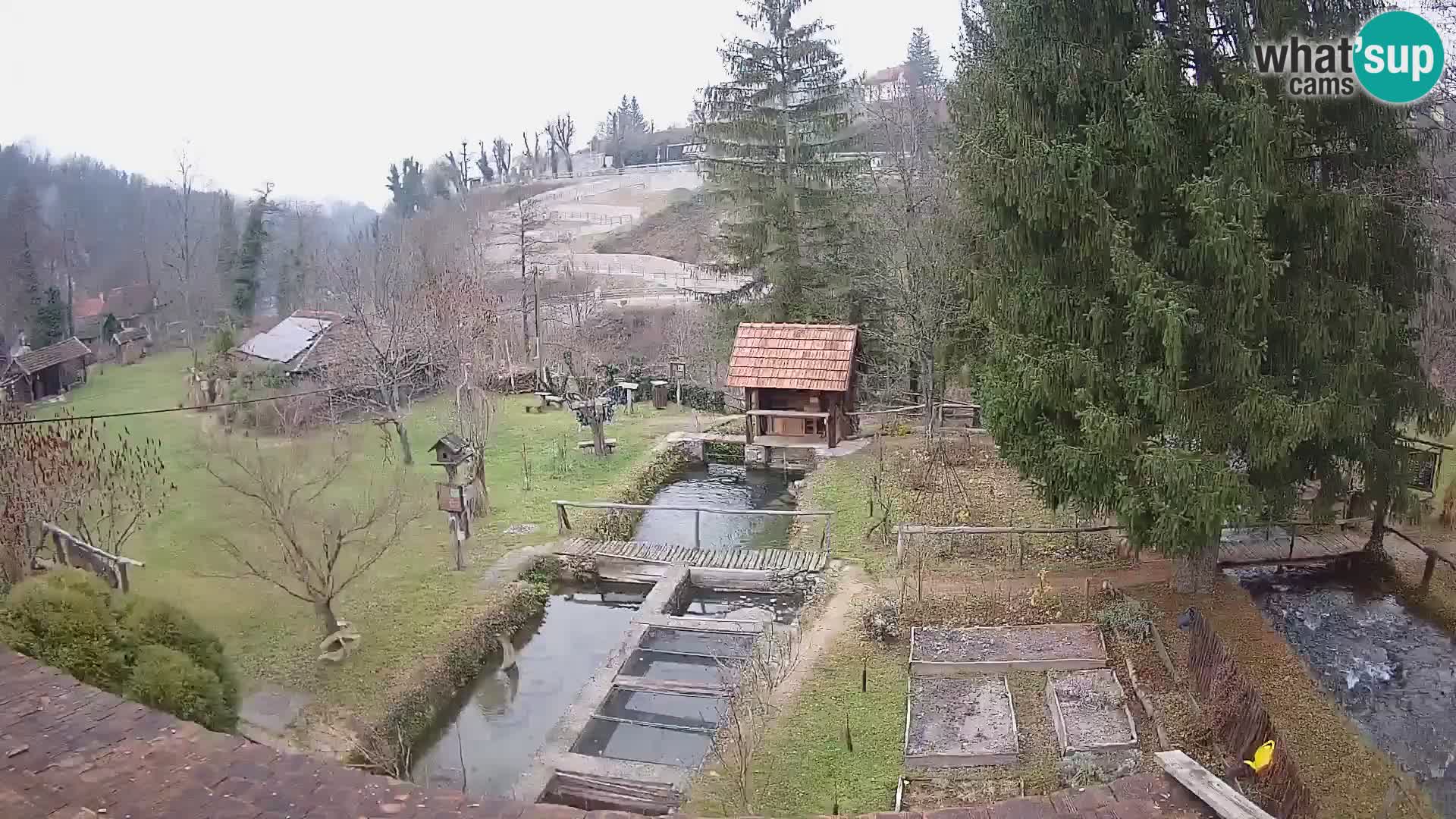 Web kamera uživo Rastoke – rijeka Slunjčica – Hrvatska