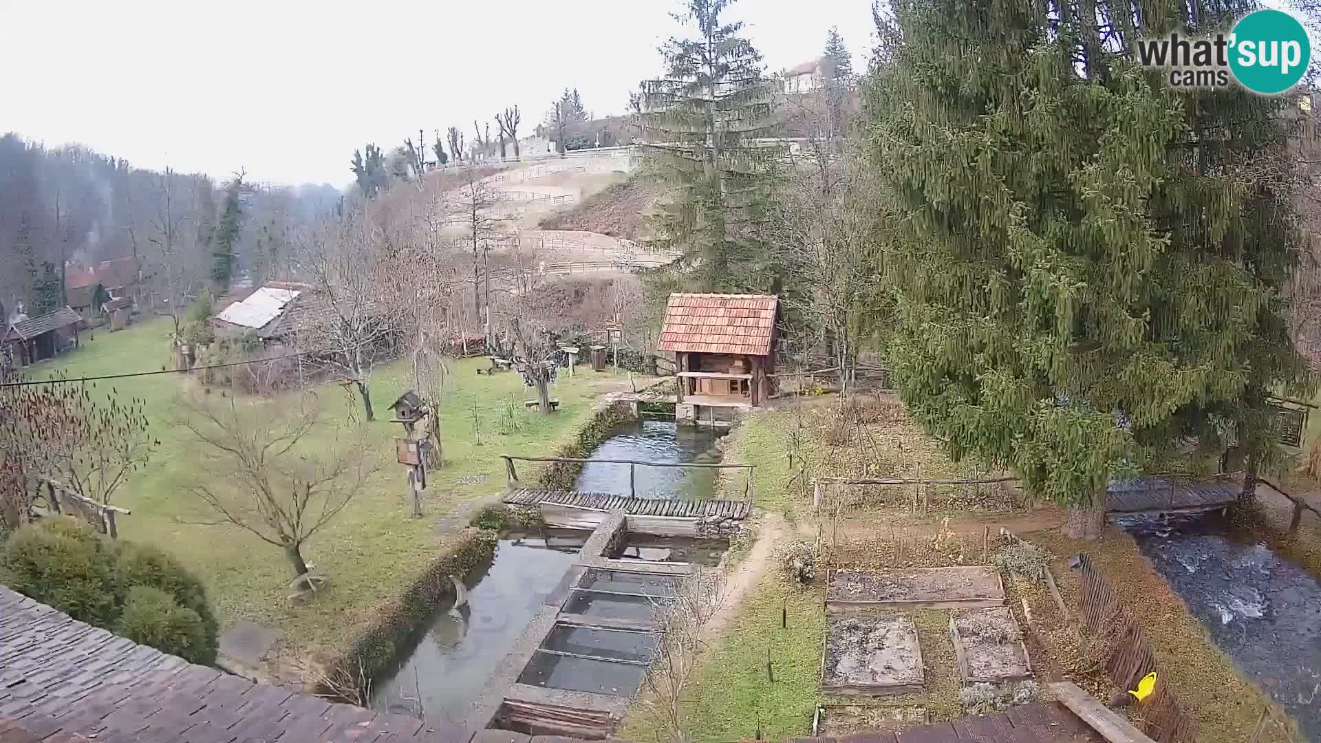 Spletna kamera v živo Rastoke – reka Slunjčica – Hrvaška