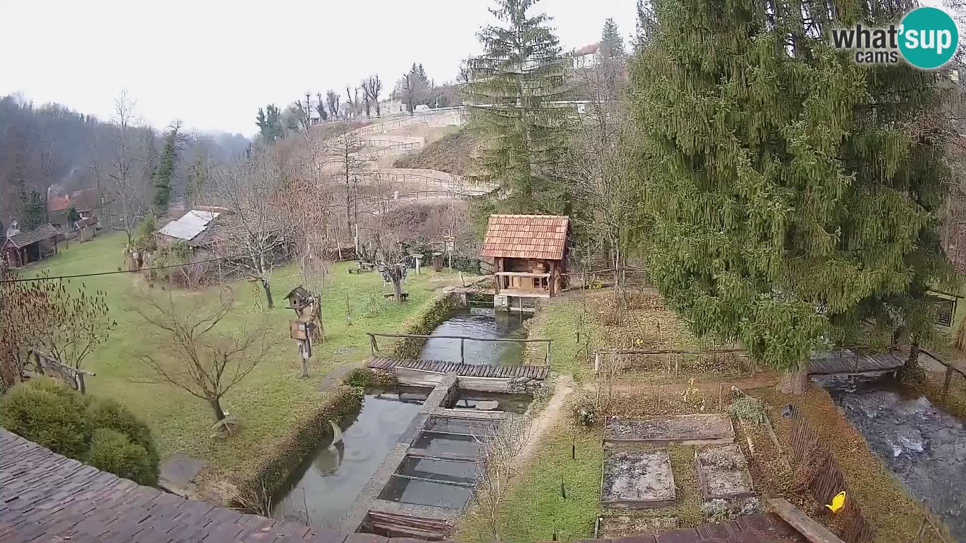 Spletna kamera v živo Rastoke – reka Slunjčica – Hrvaška