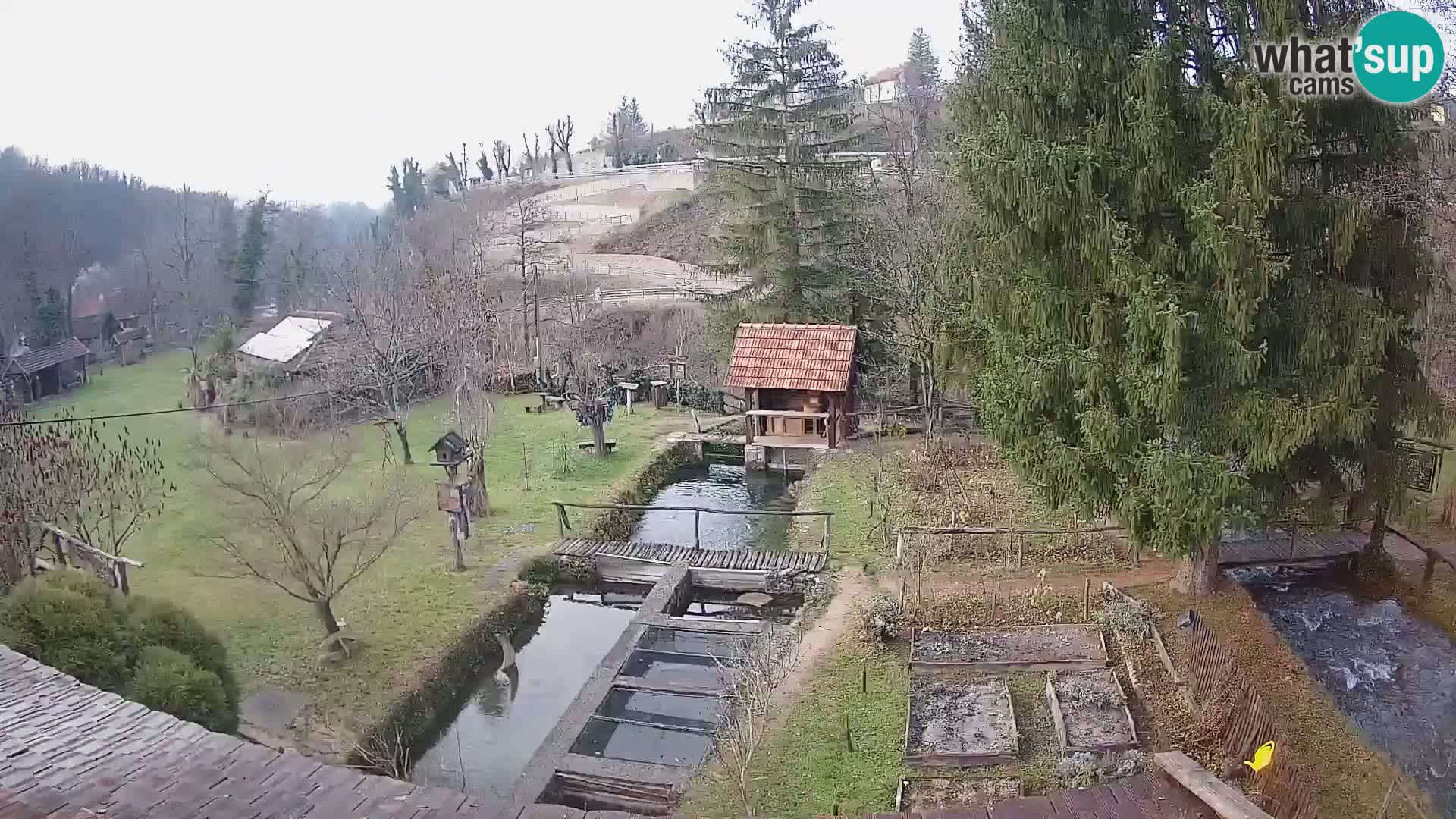 Webcam en direct Rastoke – rivière Slunjčica – Croatie
