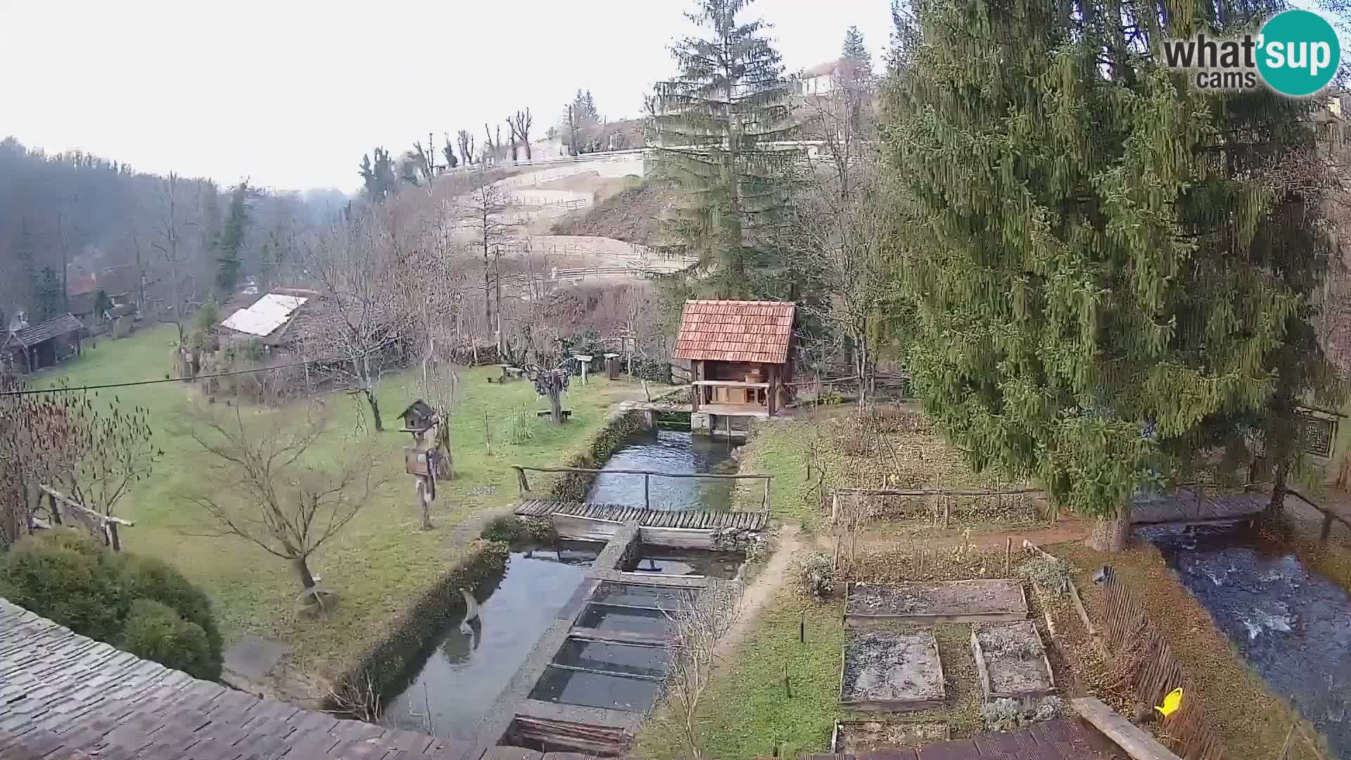 Webcam en direct Rastoke – rivière Slunjčica – Croatie