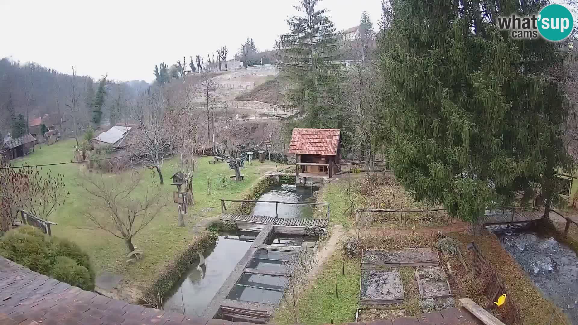 Spletna kamera v živo Rastoke – reka Slunjčica – Hrvaška