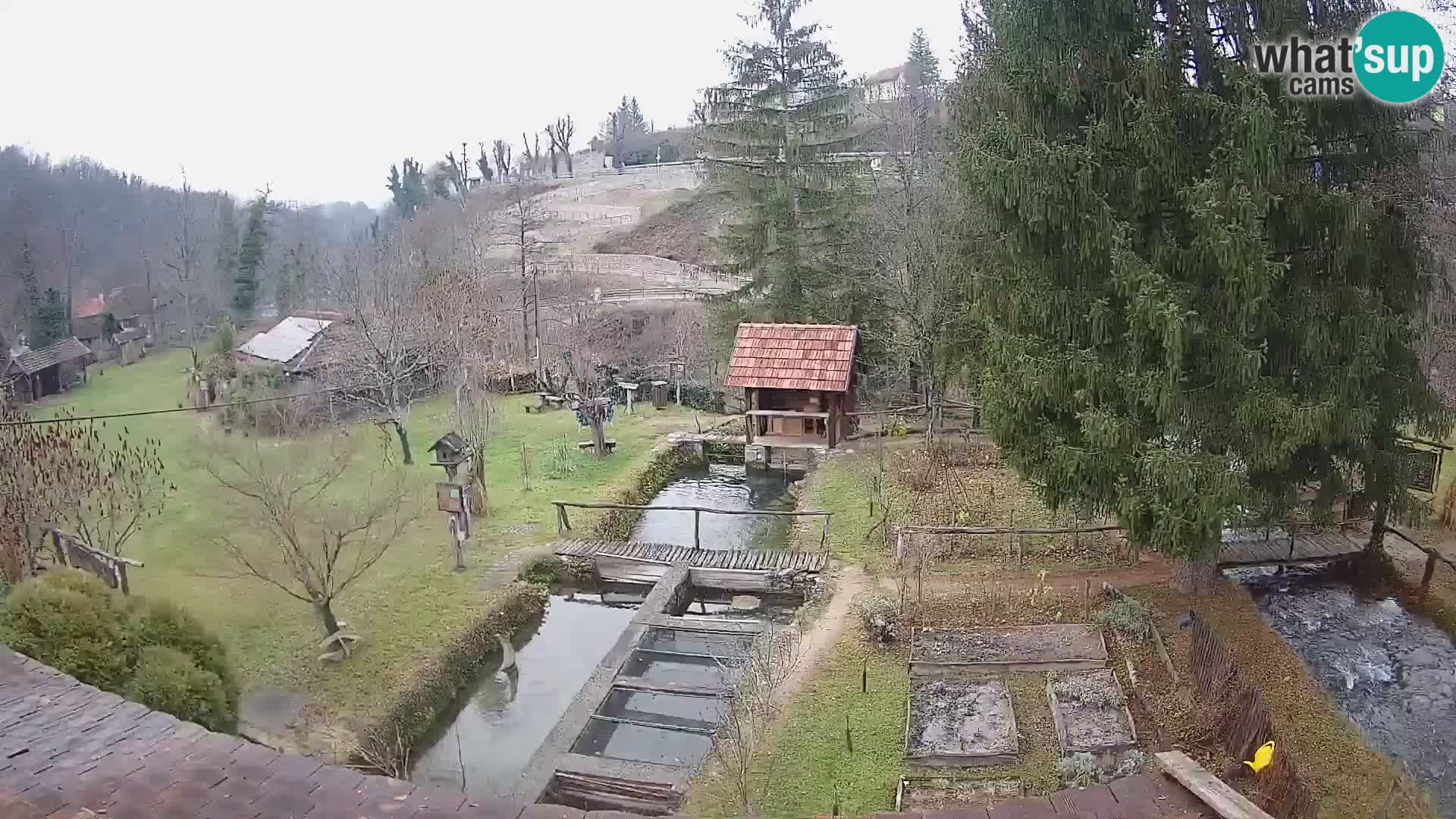Live webcam Rastoke – fiume Slunjčica – Croazia