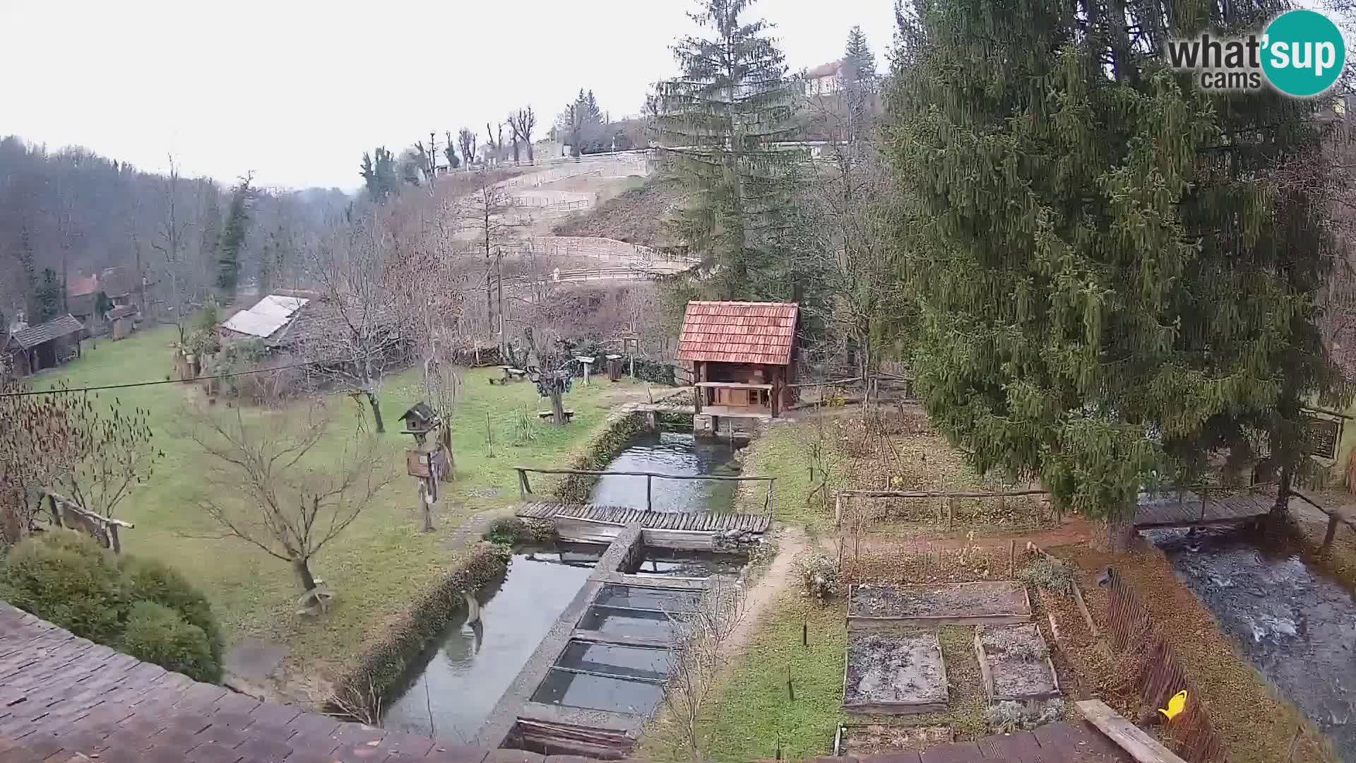 Spletna kamera v živo Rastoke – reka Slunjčica – Hrvaška