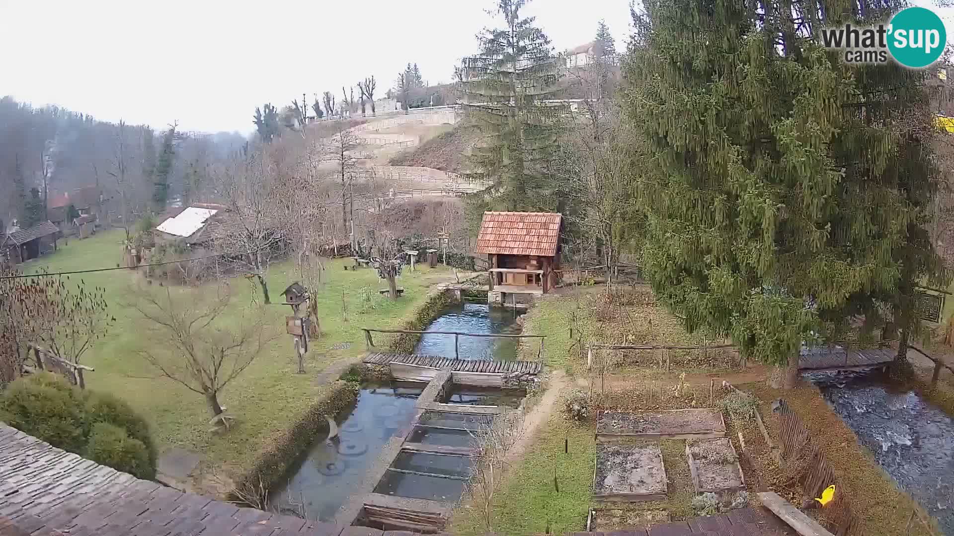 Live webcam Rastoke – fiume Slunjčica – Croazia