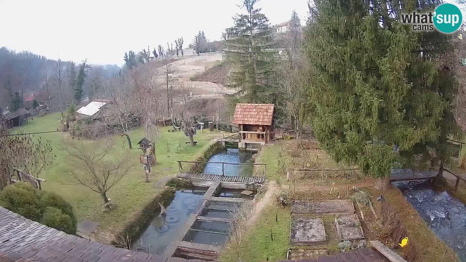 Spletna kamera v živo Rastoke – reka Slunjčica – Hrvaška