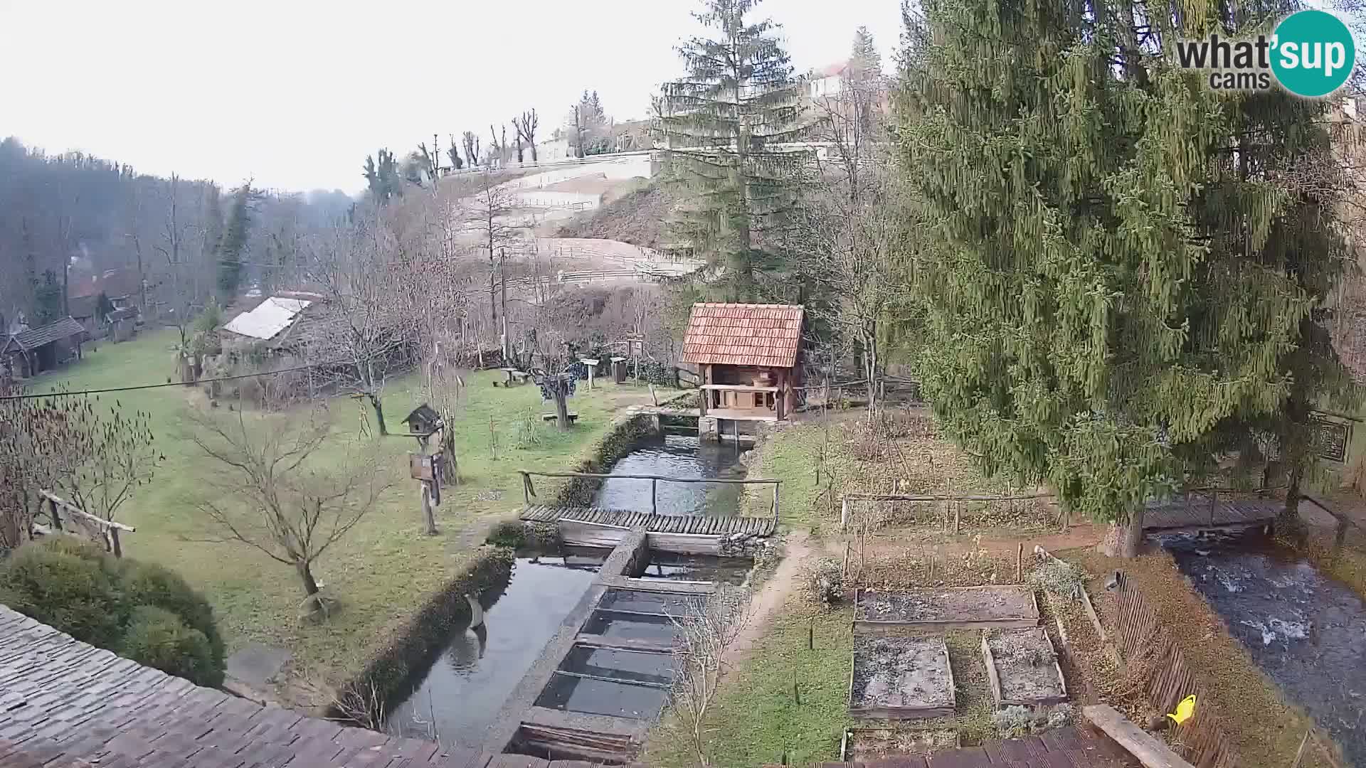 Cámara web en vivo Rastoke – río Slunjčica – Croacia