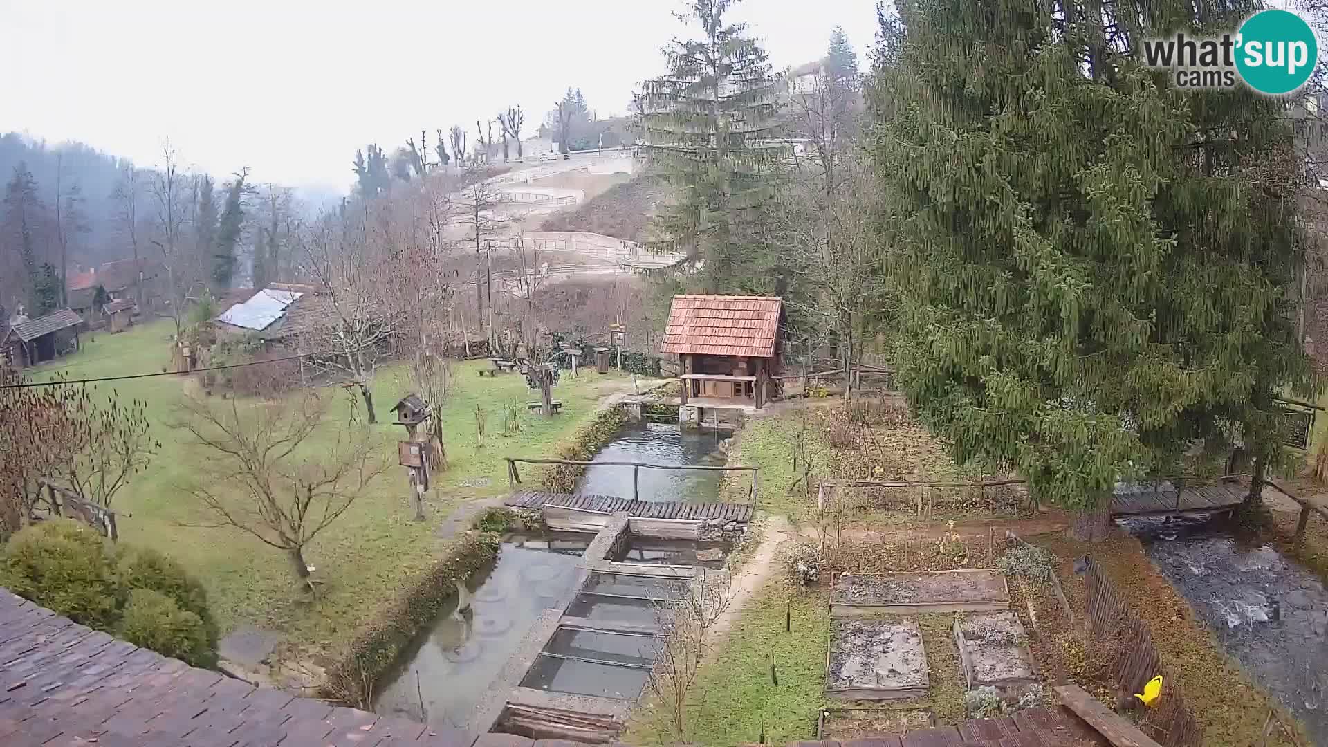 Spletna kamera v živo Rastoke – reka Slunjčica – Hrvaška