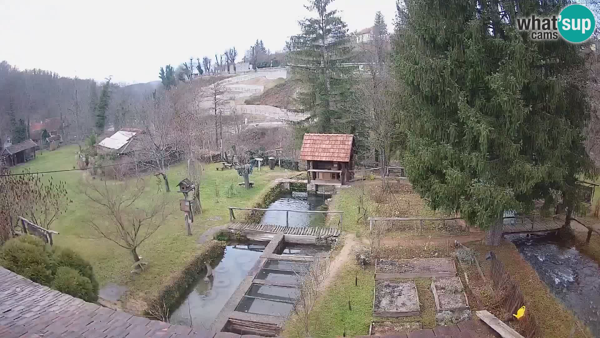 Spletna kamera v živo Rastoke – reka Slunjčica – Hrvaška