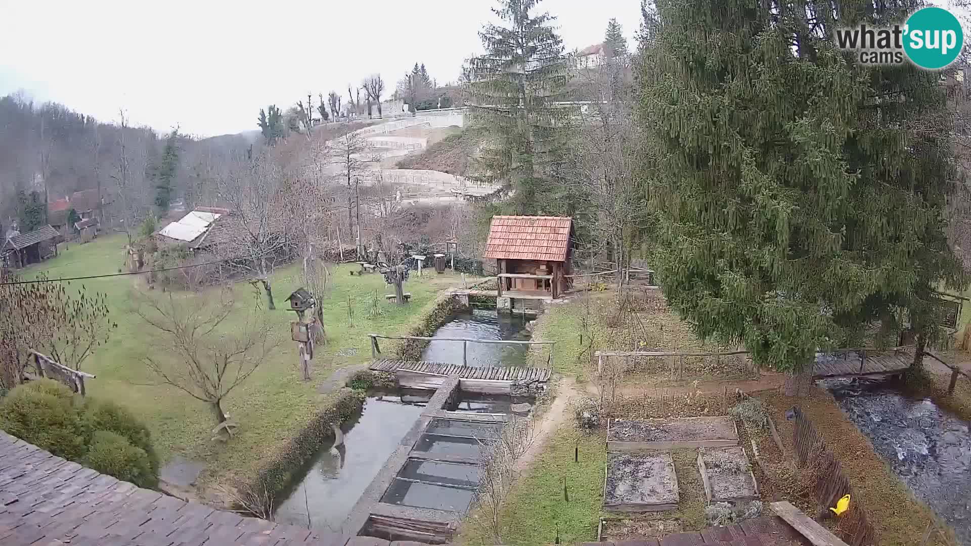 Spletna kamera v živo Rastoke – reka Slunjčica – Hrvaška