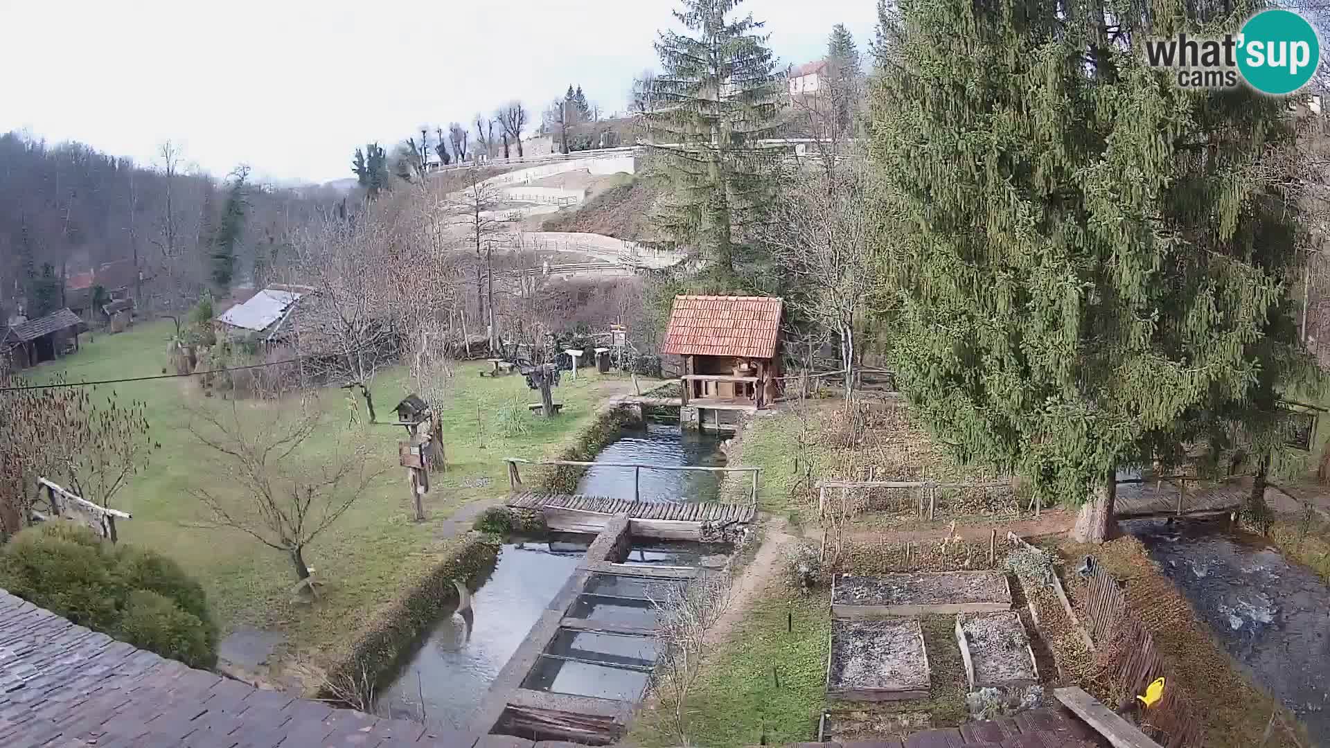 Live webcam Rastoke – river Slunjčica – Croatia