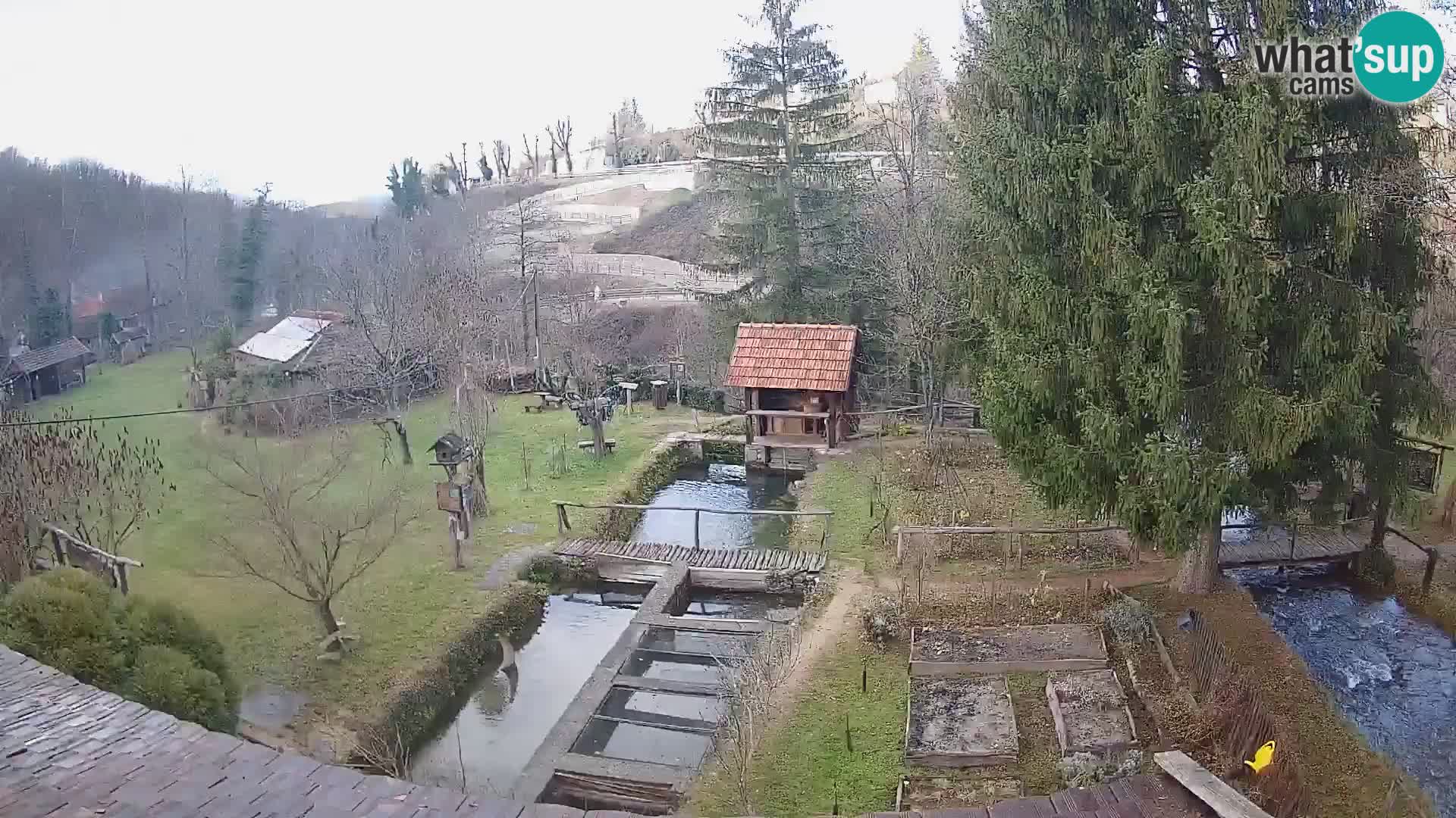 Live-Webcam Rastoke – Fluss Slunjčica – Kroatien