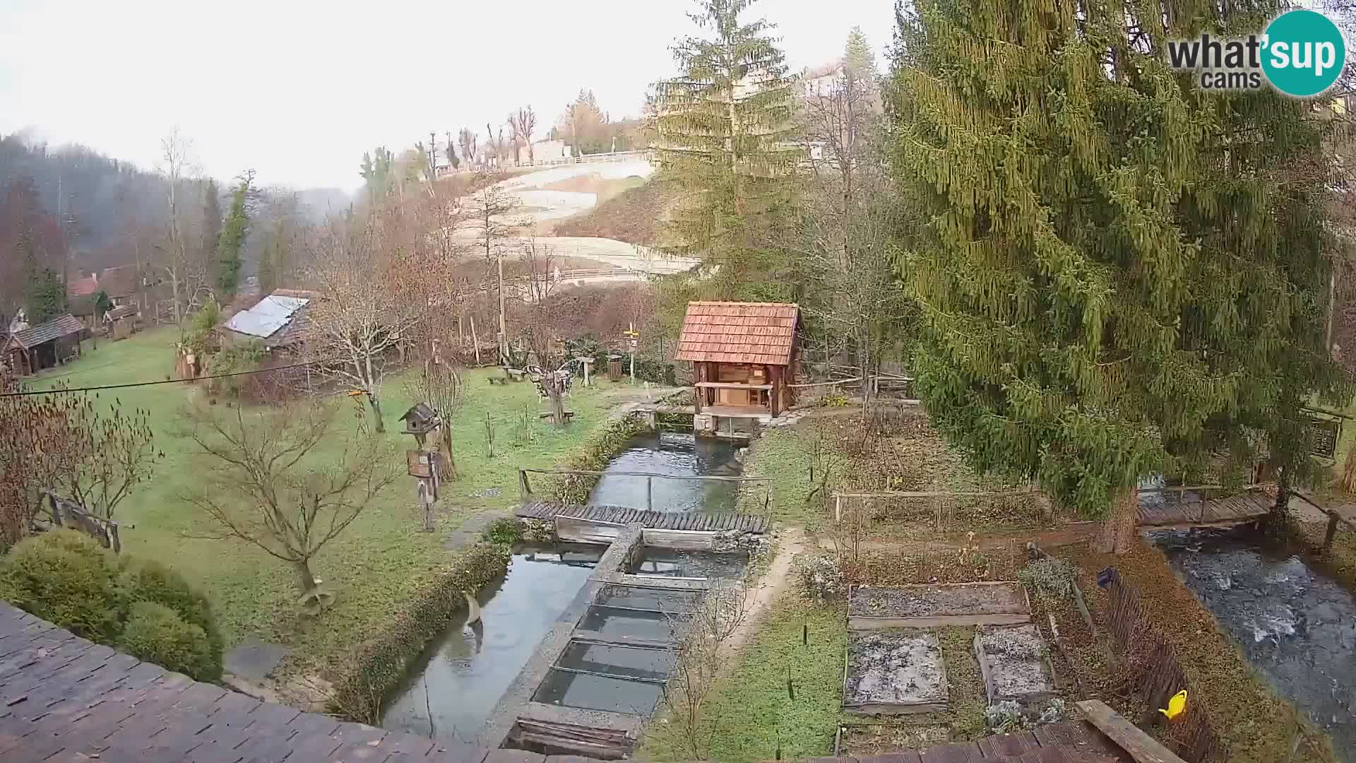 Live webcam Rastoke – river Slunjčica – Croatia