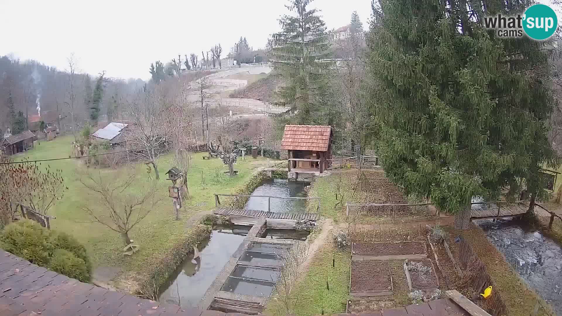 Live-Webcam Rastoke – Fluss Slunjčica – Kroatien