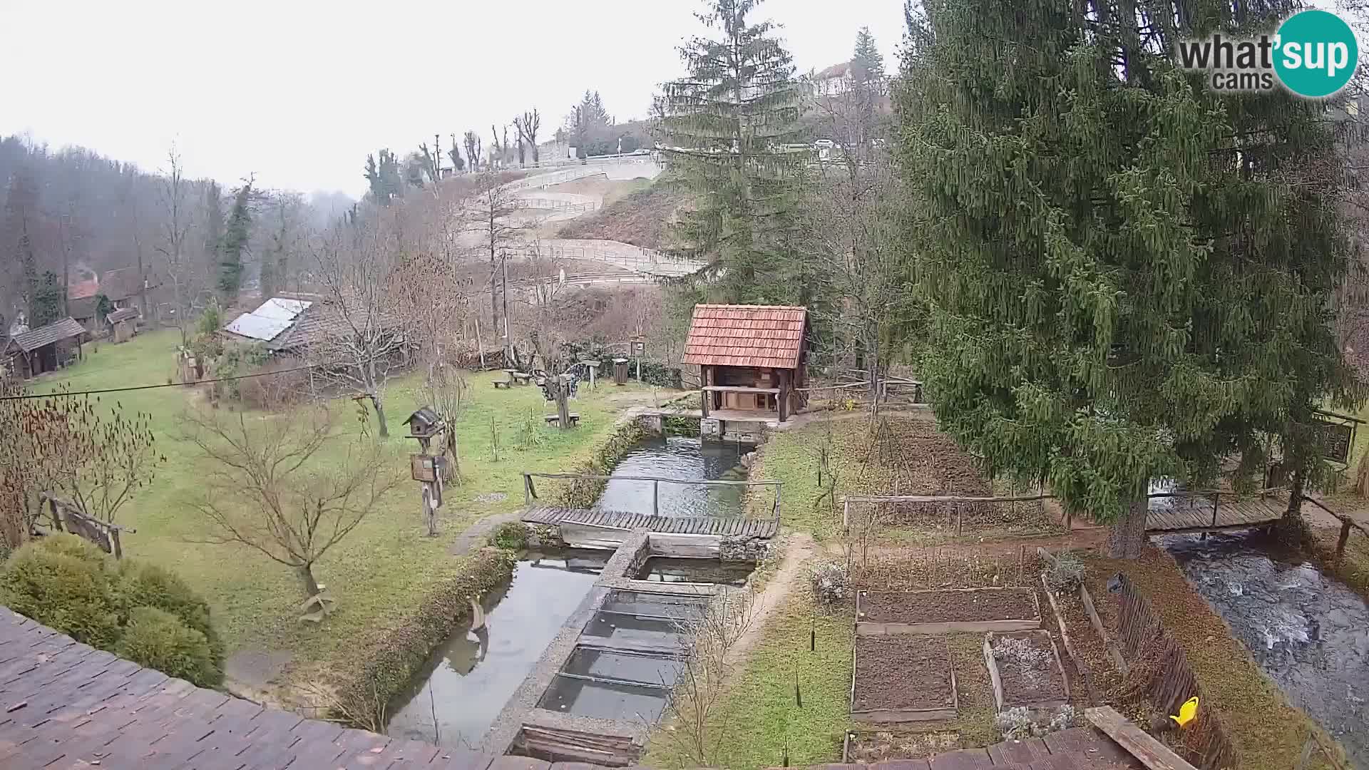 Live-Webcam Rastoke – Fluss Slunjčica – Kroatien