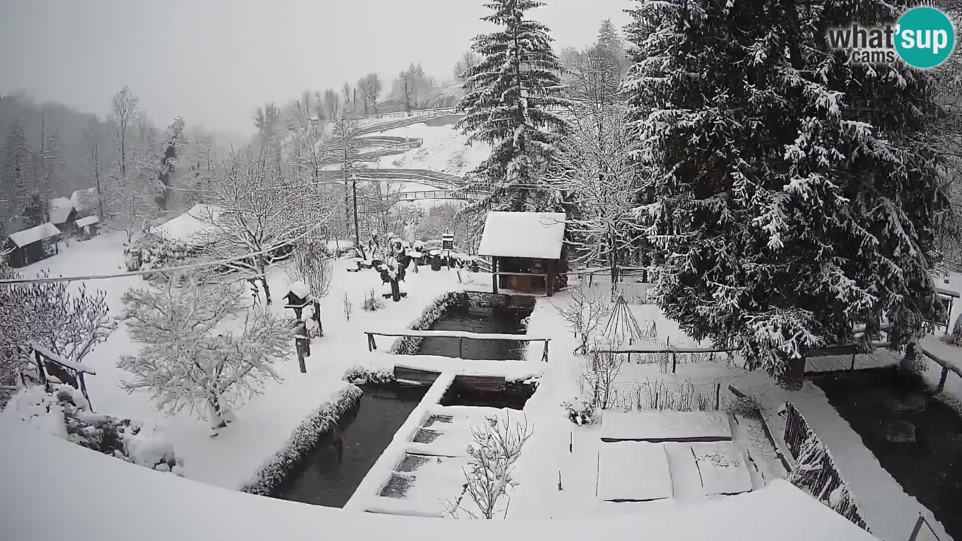 Web kamera uživo Rastoke – rijeka Slunjčica – Hrvatska